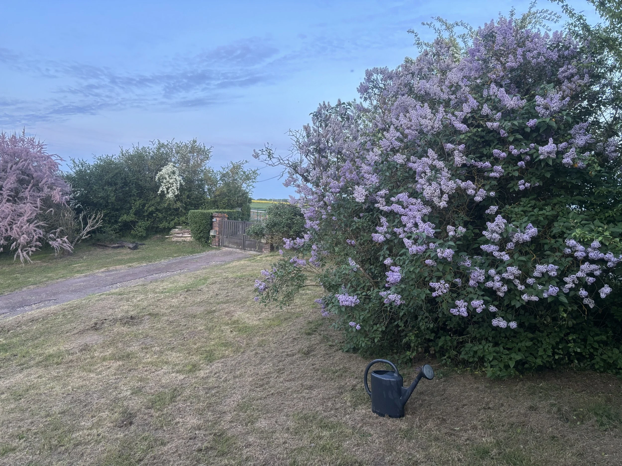 IMG_9402.jpeg