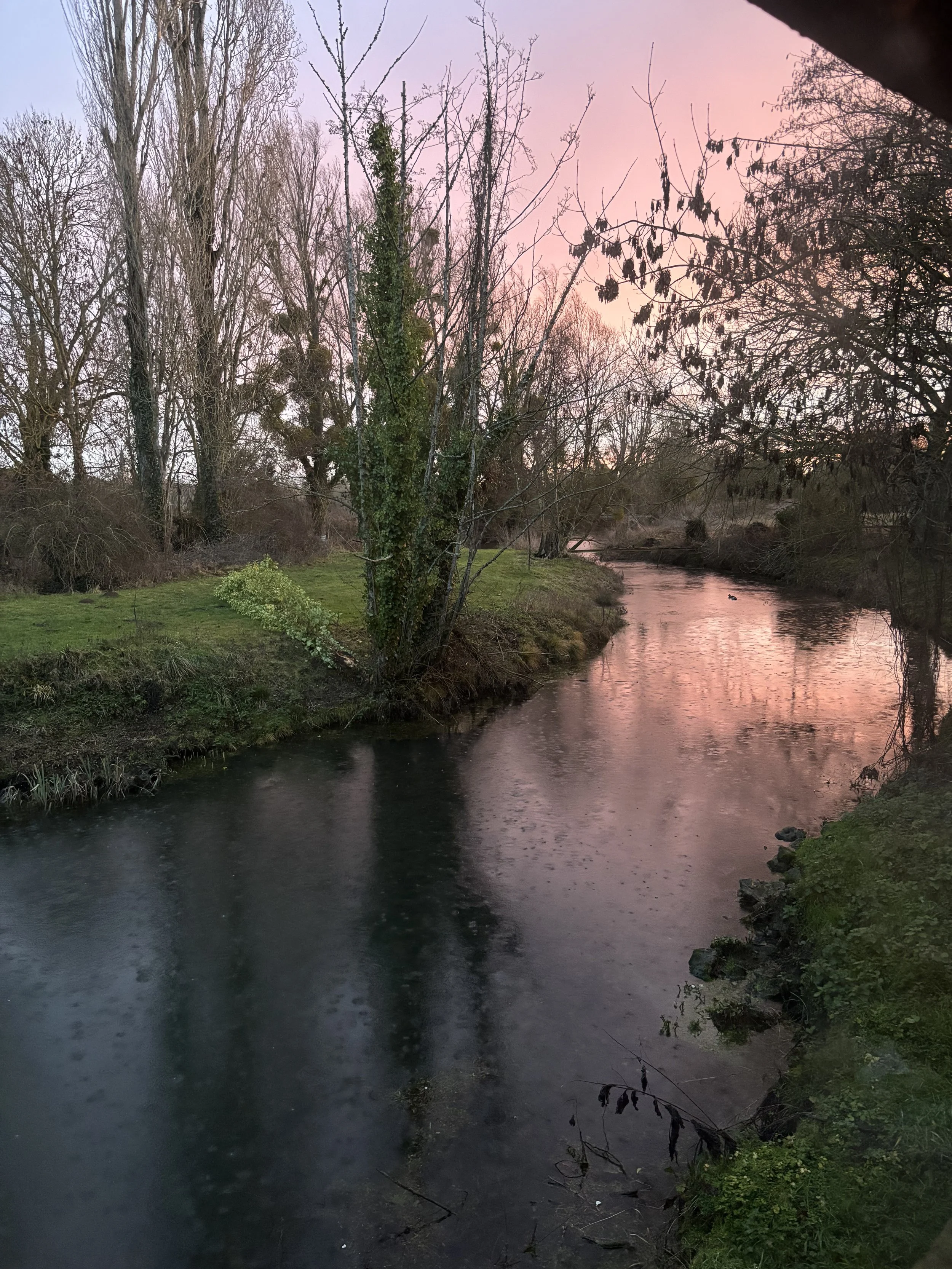 IMG_6860.jpeg