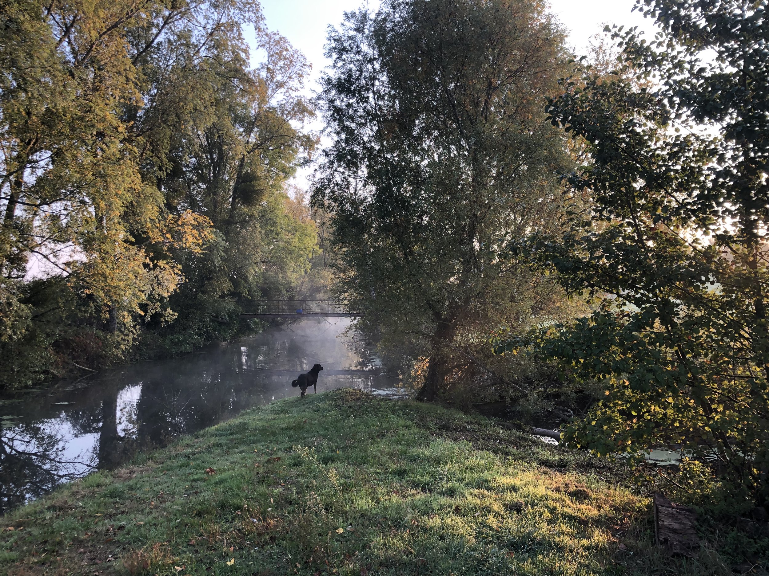 IMG_9628.jpeg