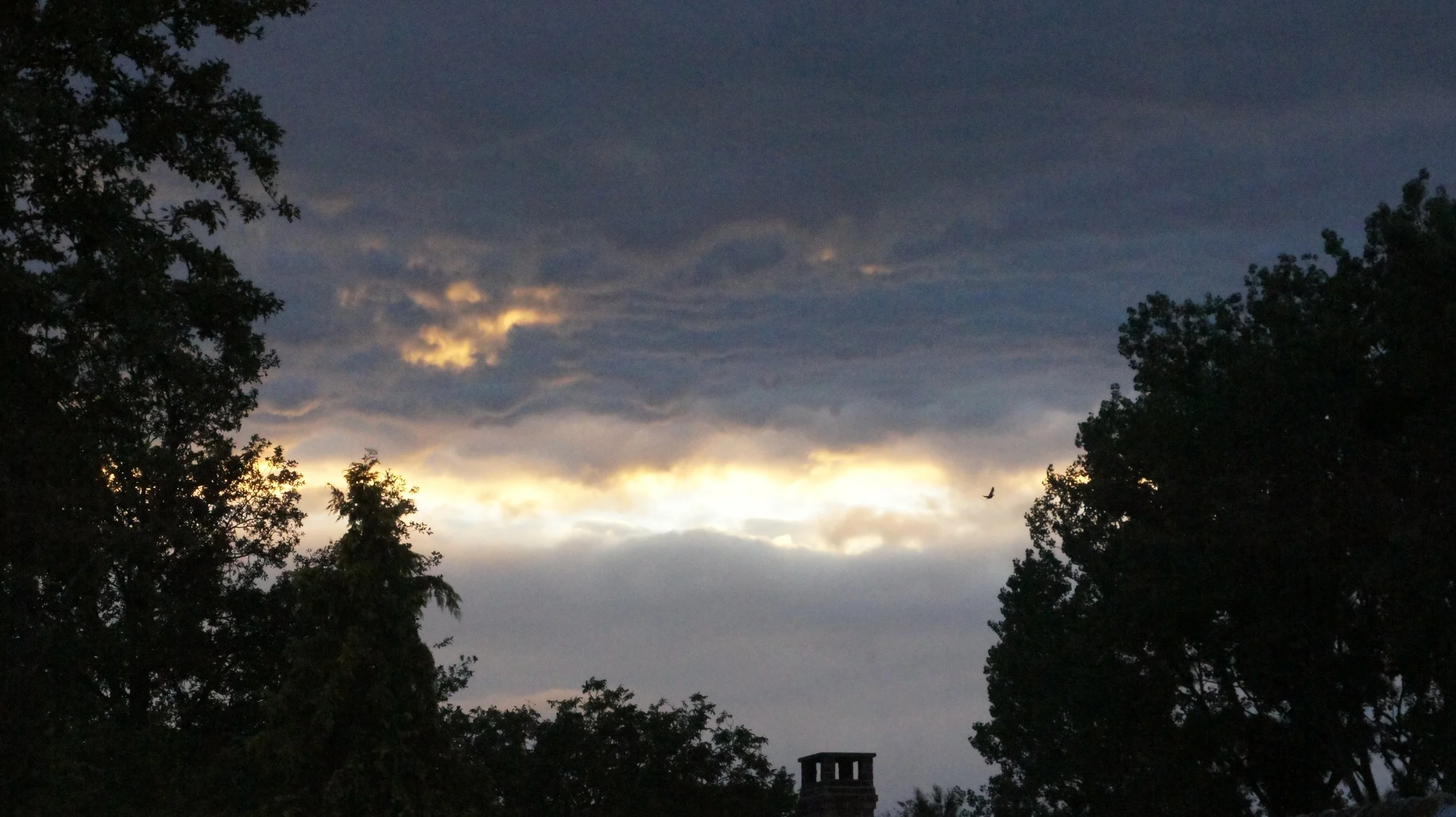 DSC04028.JPG