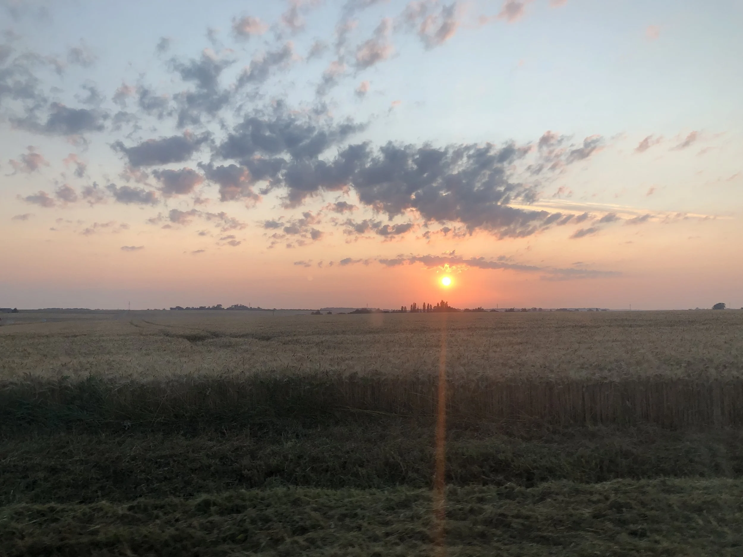 IMG_6444.jpeg