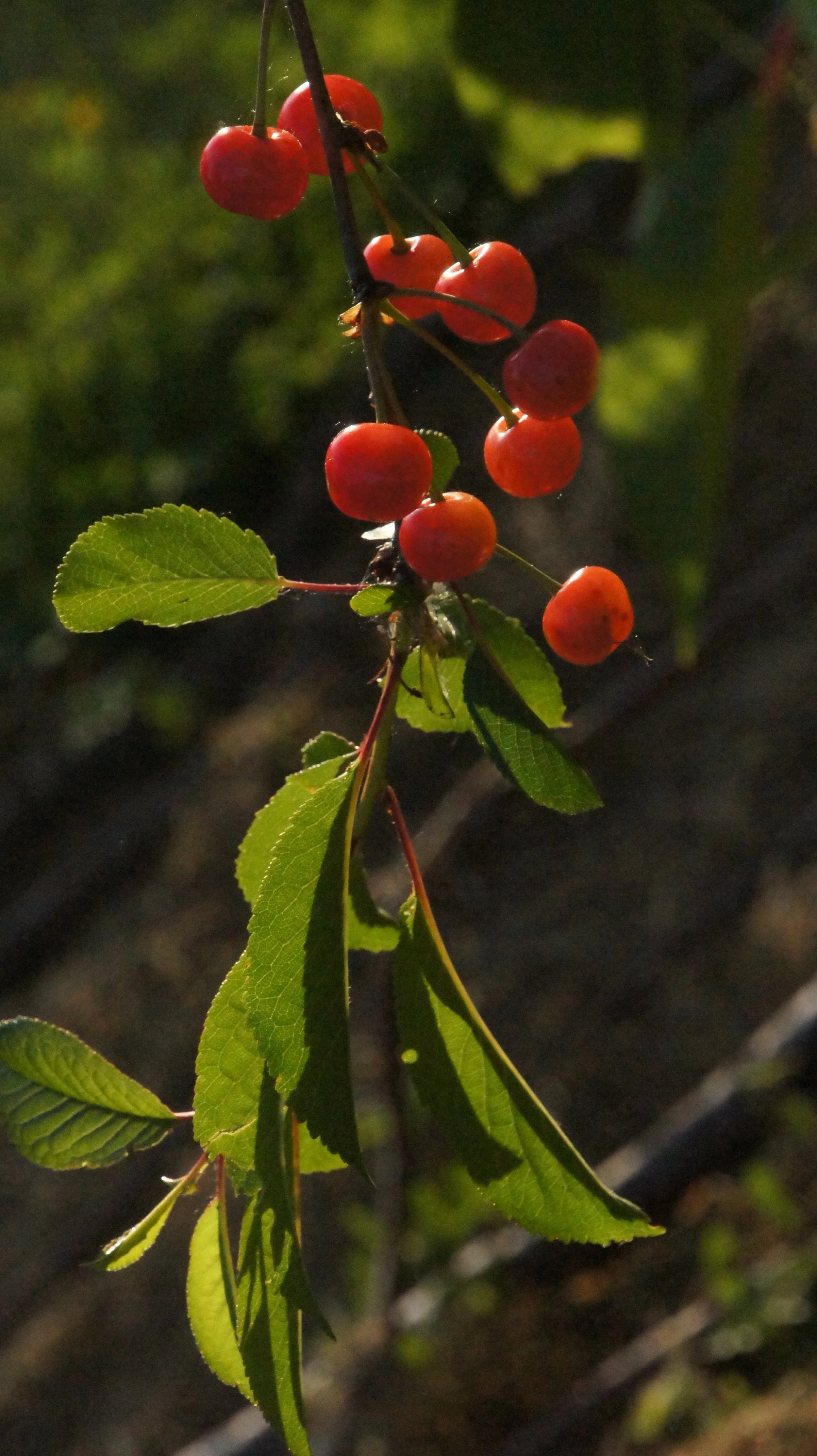 DSC01675.JPG