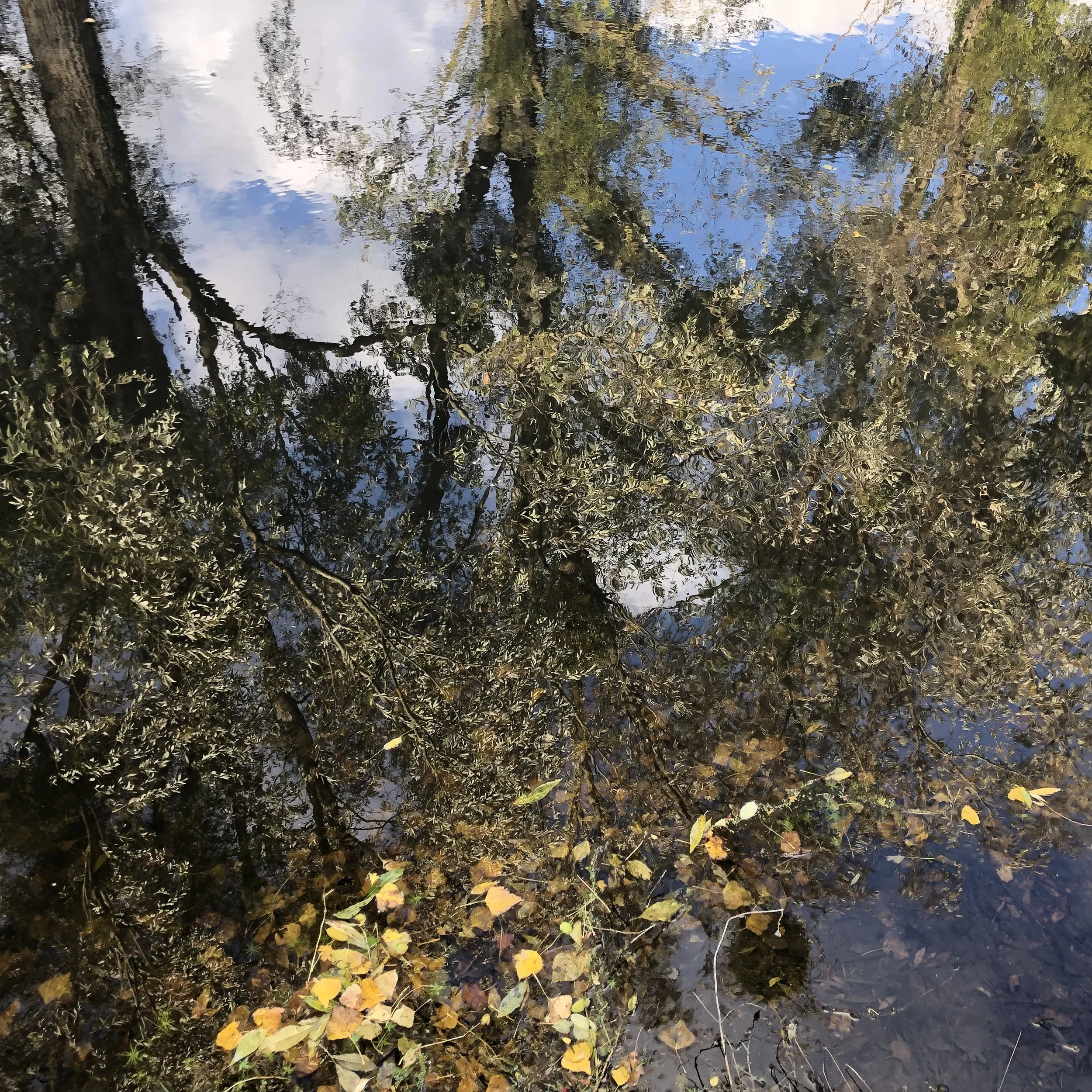 IMG_0197.jpeg
