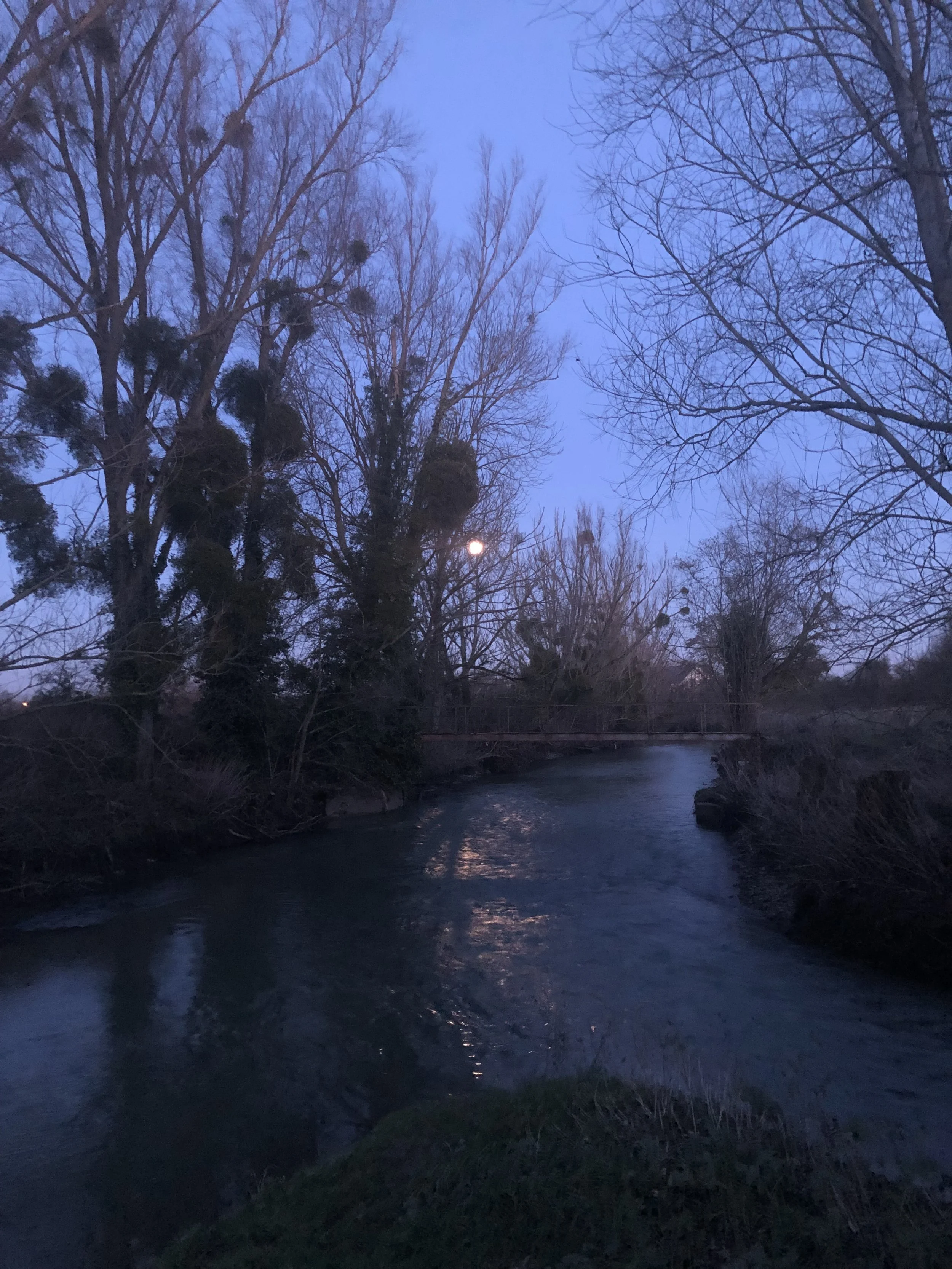 IMG_8042.jpeg