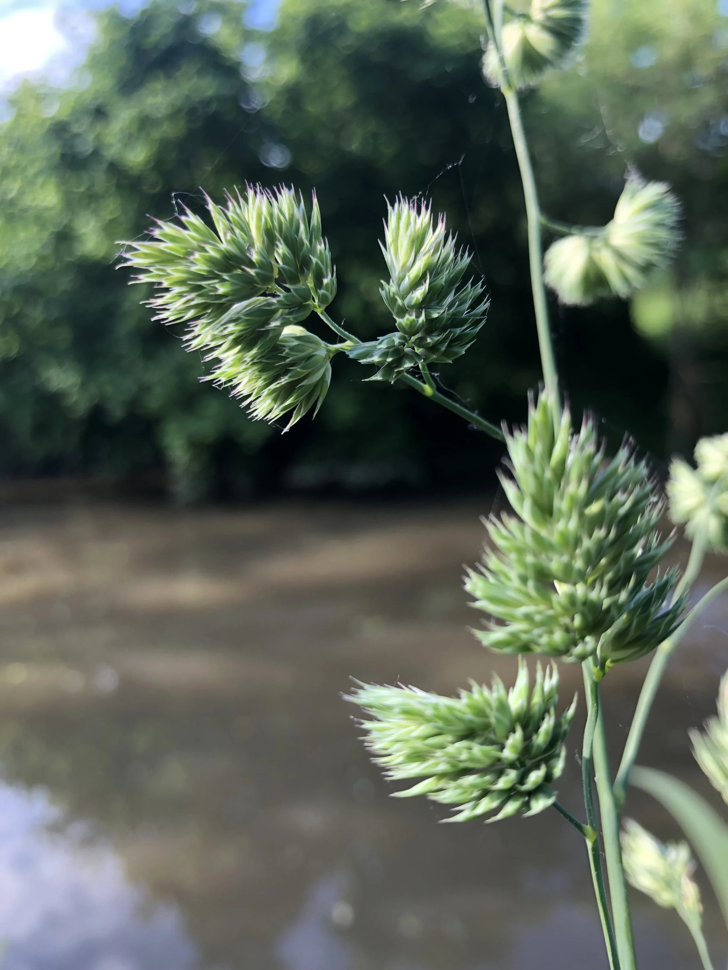 IMG_0244.jpeg
