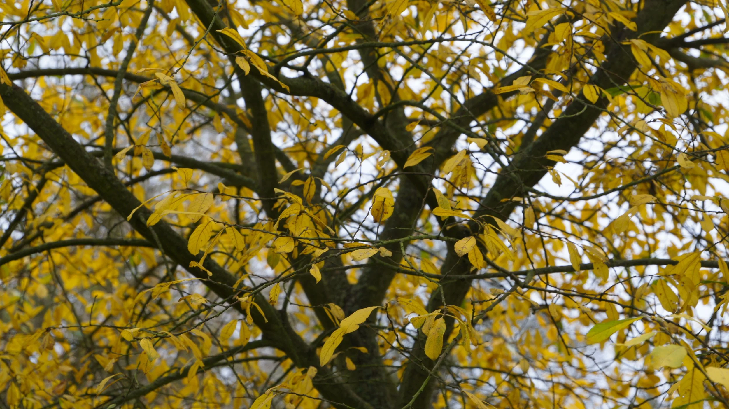 DSC04570.JPG