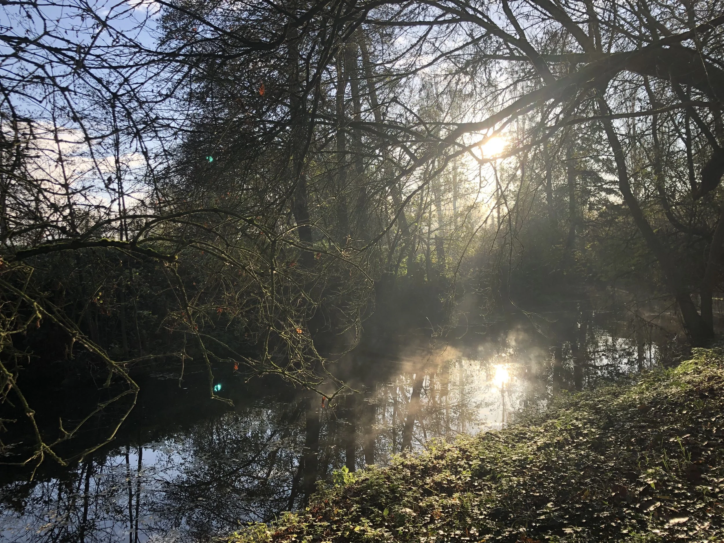 IMG_0517.jpeg