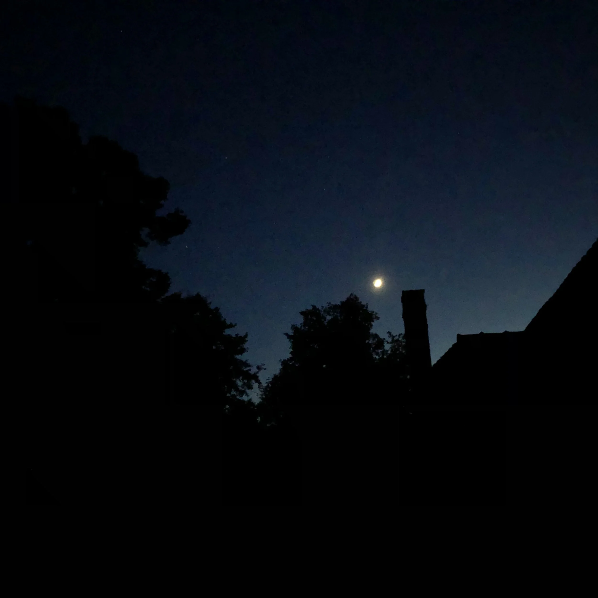 IMG_5407.jpeg