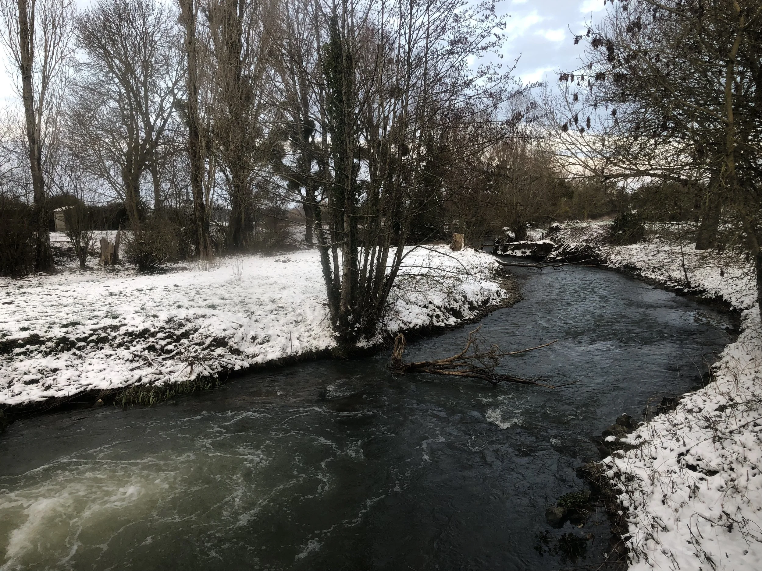 IMG_2400.jpeg
