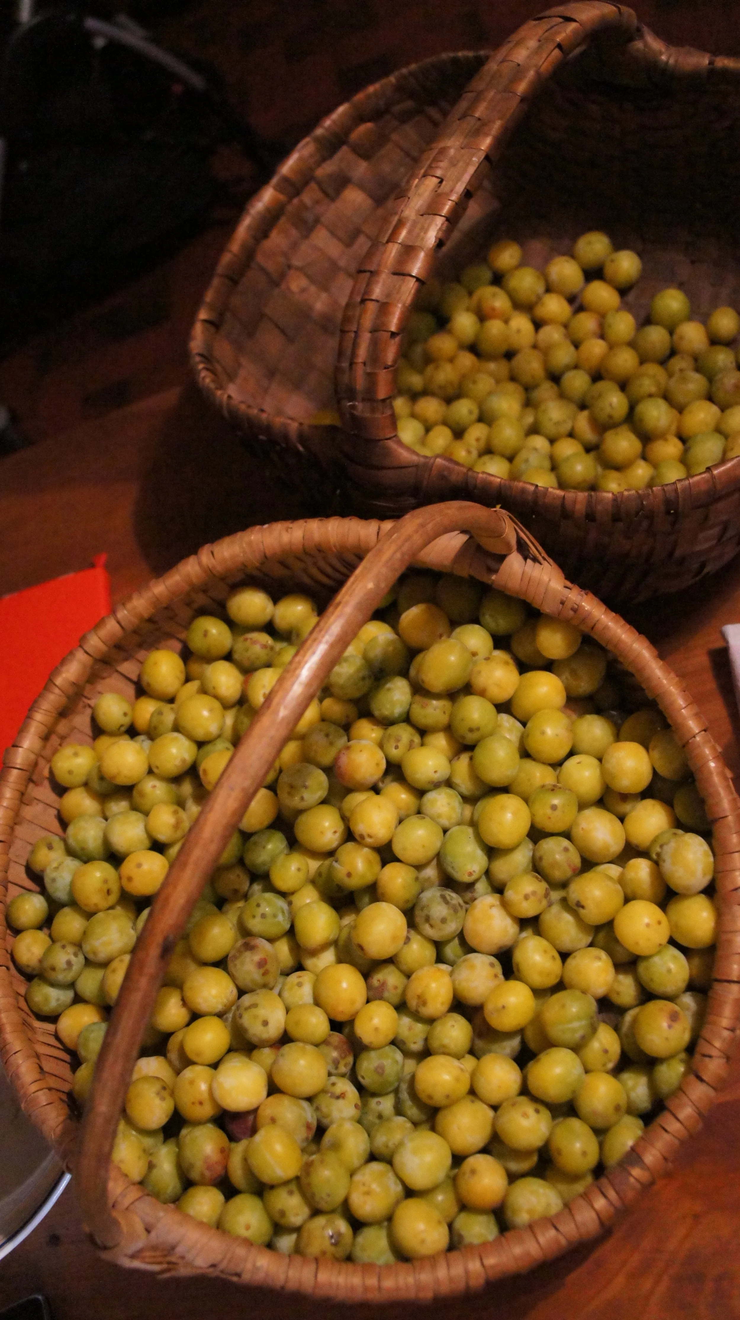DSC07298.JPG