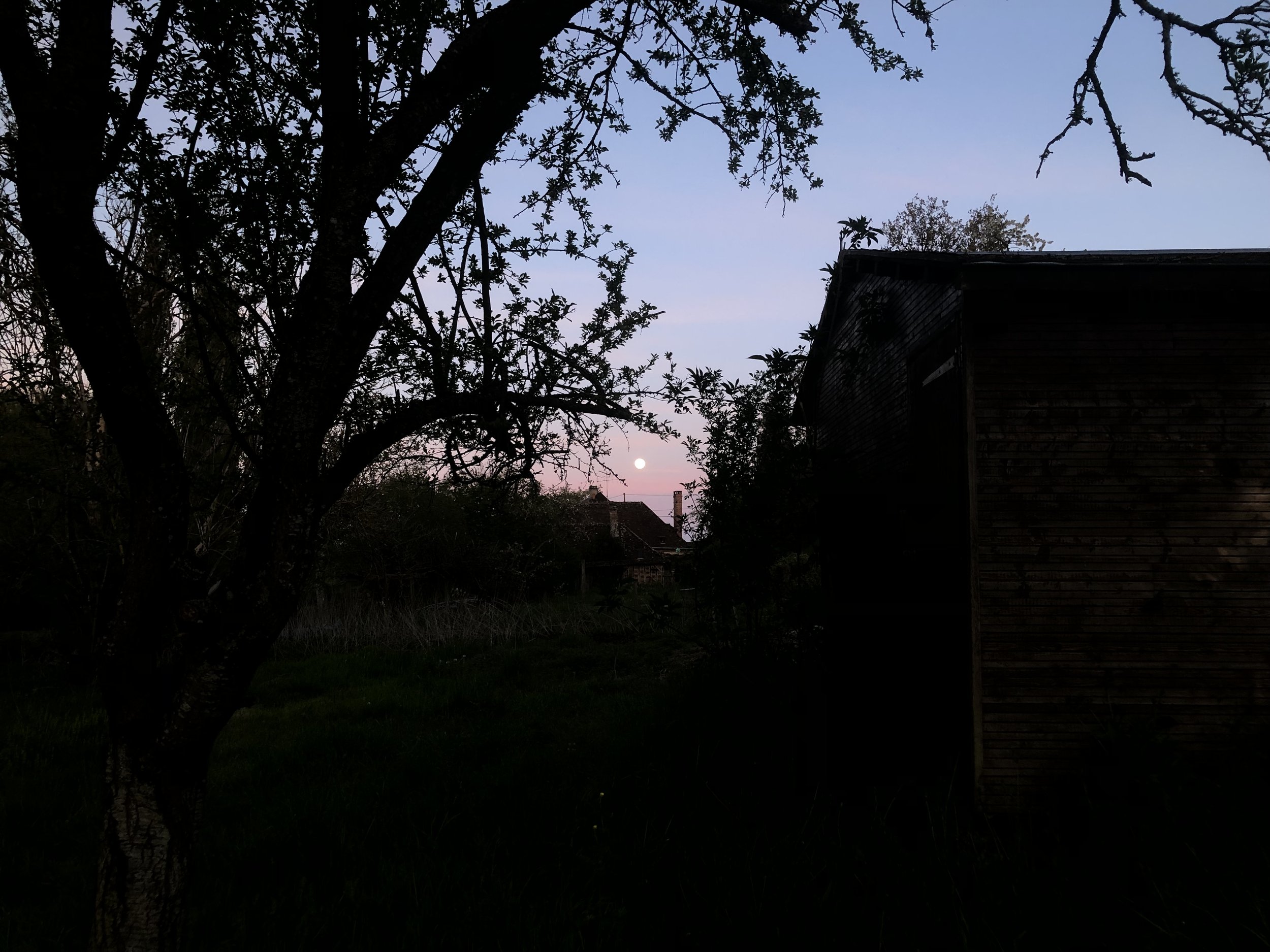 IMG_4146.jpeg