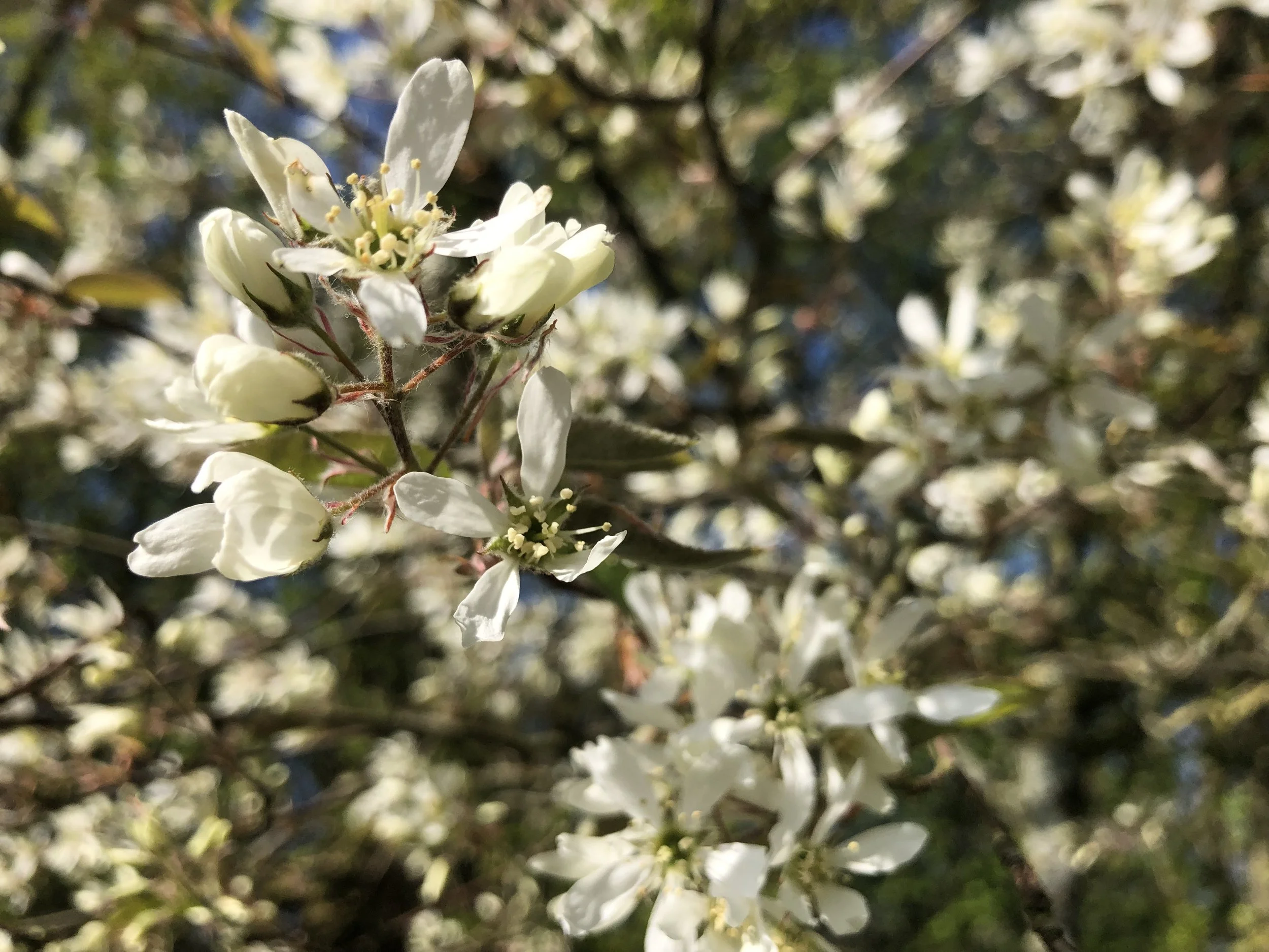 IMG_3684.jpeg