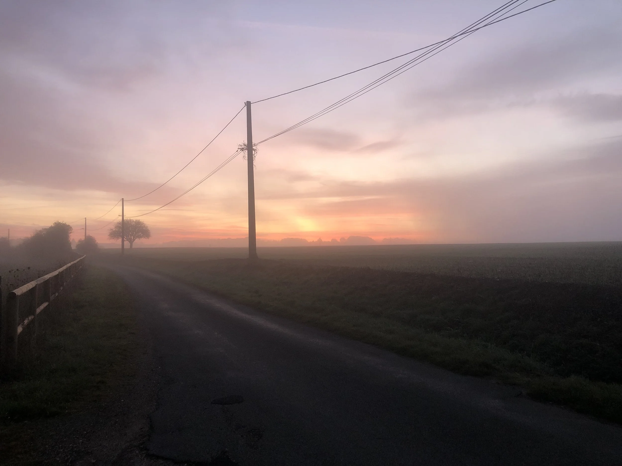 IMG_5239.jpeg