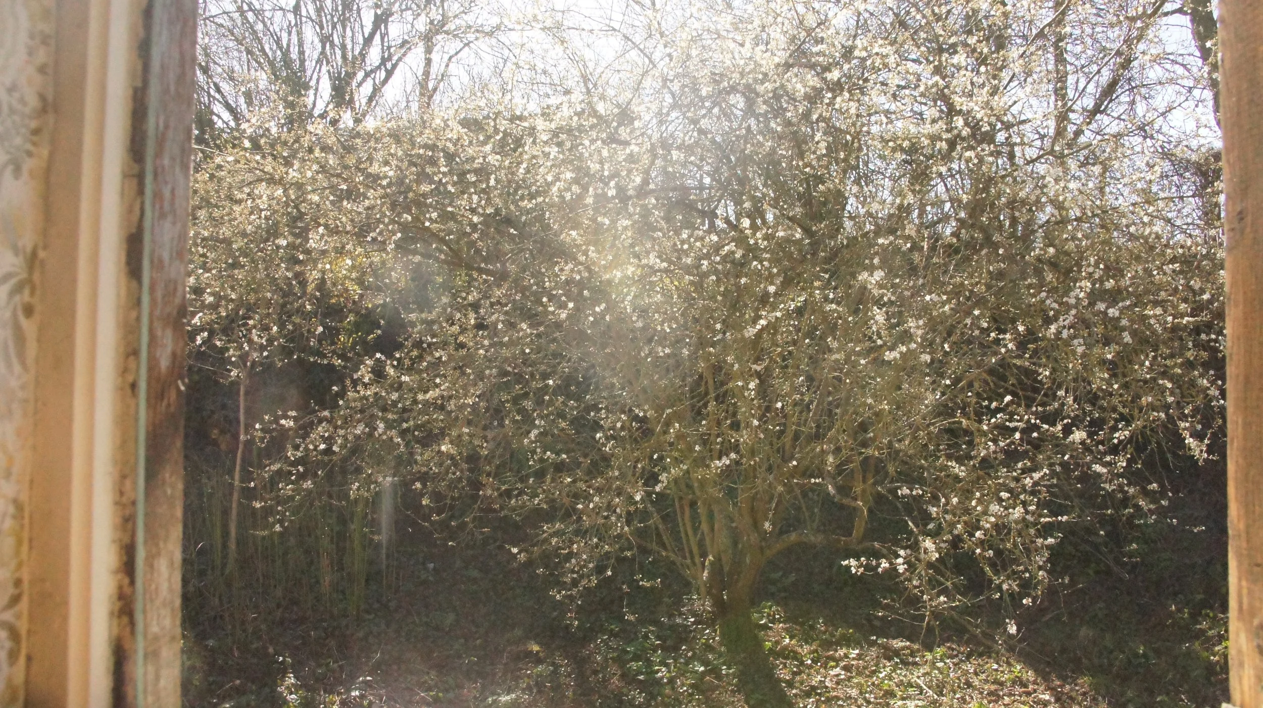 DSC09337.JPG