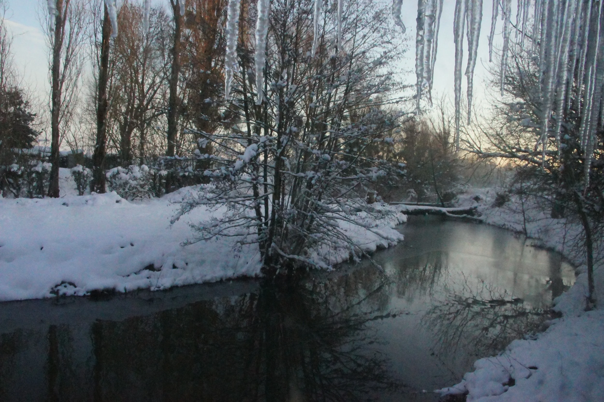 DSC04739.jpg