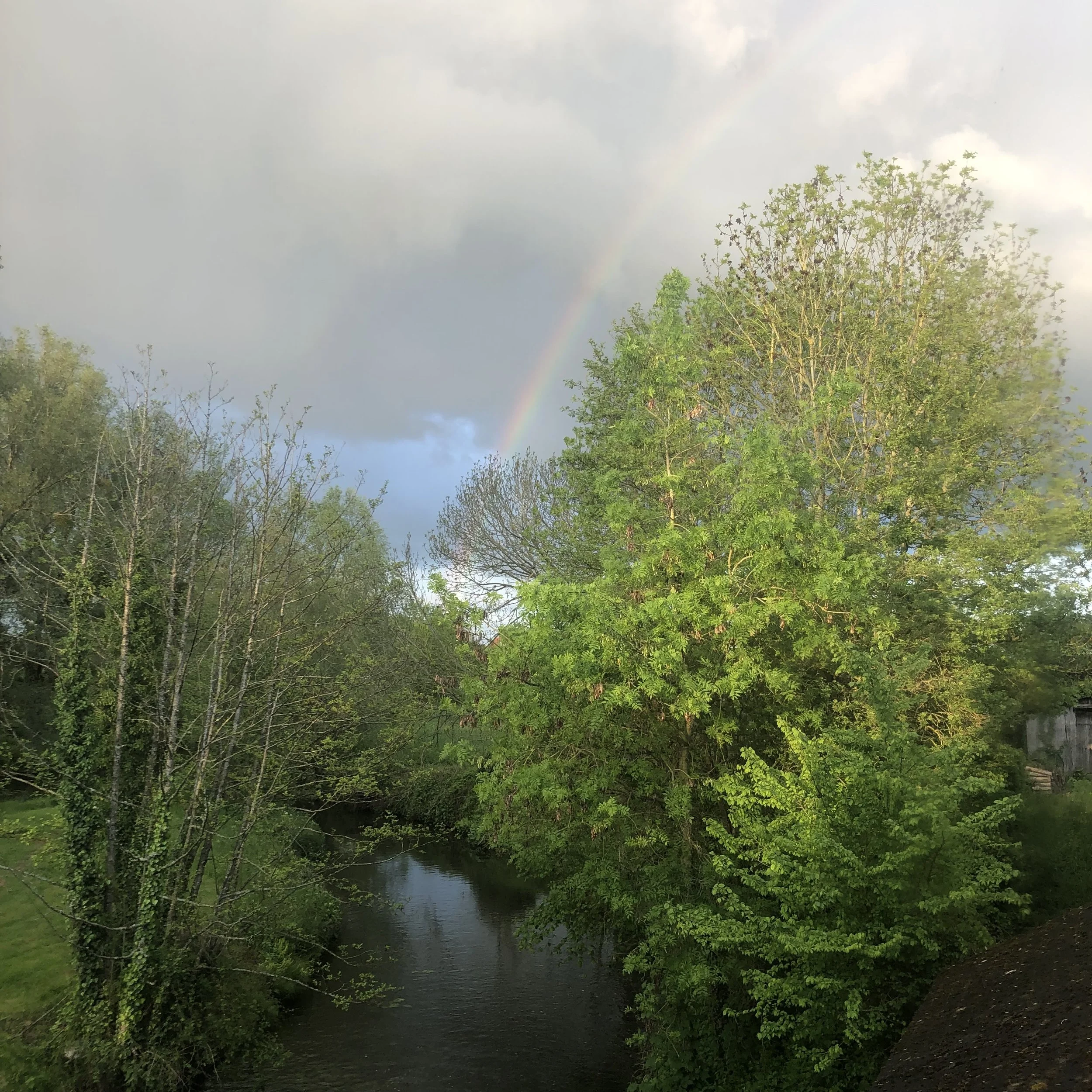IMG_4691.jpeg