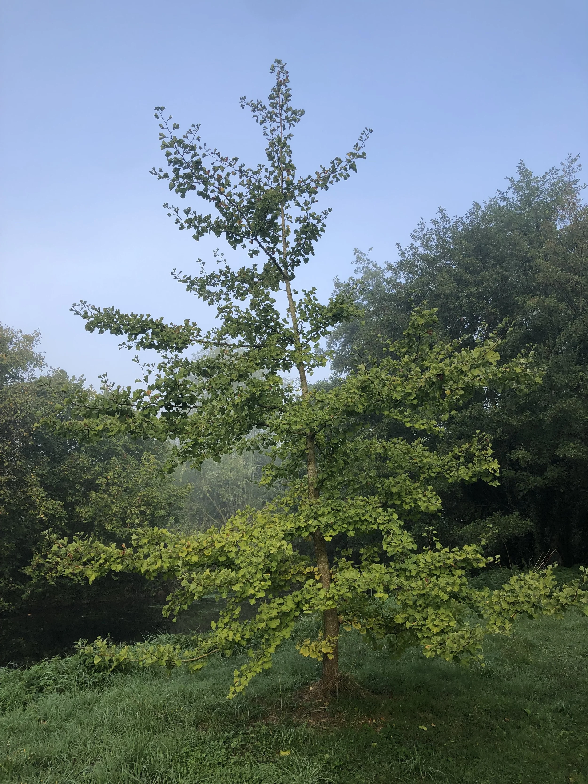 IMG_4138.jpeg