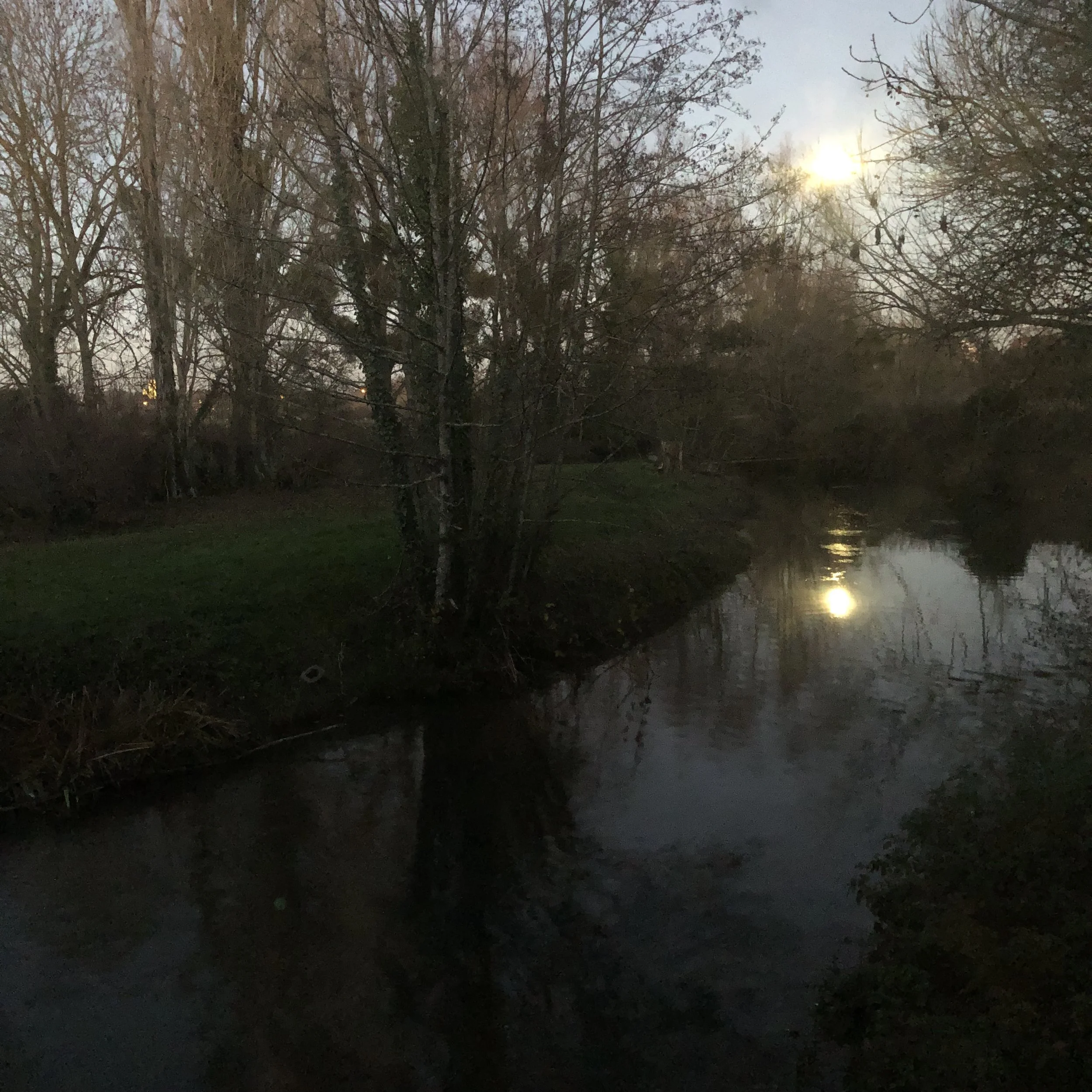 IMG_2404.jpeg