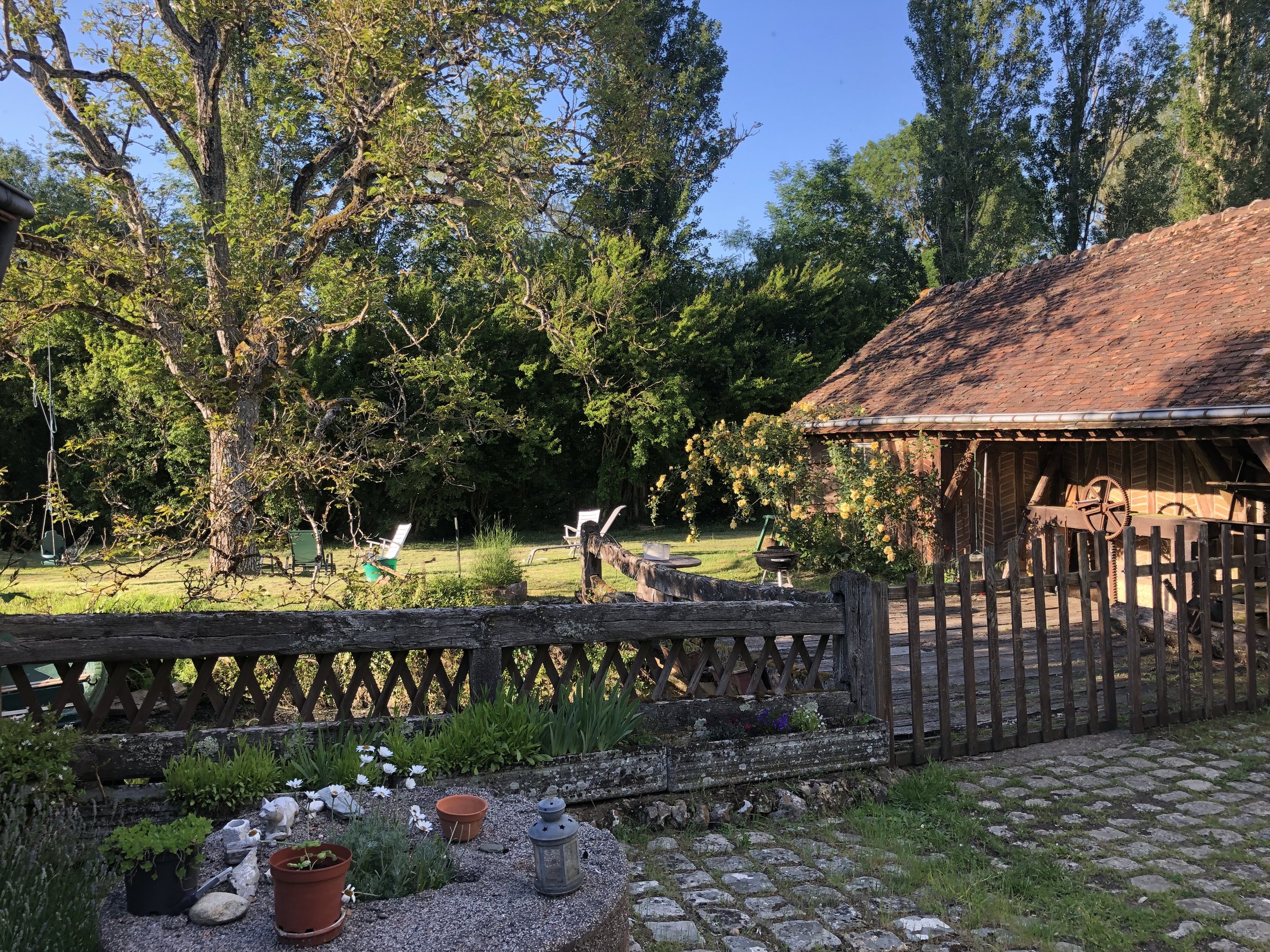 IMG_5117.jpeg