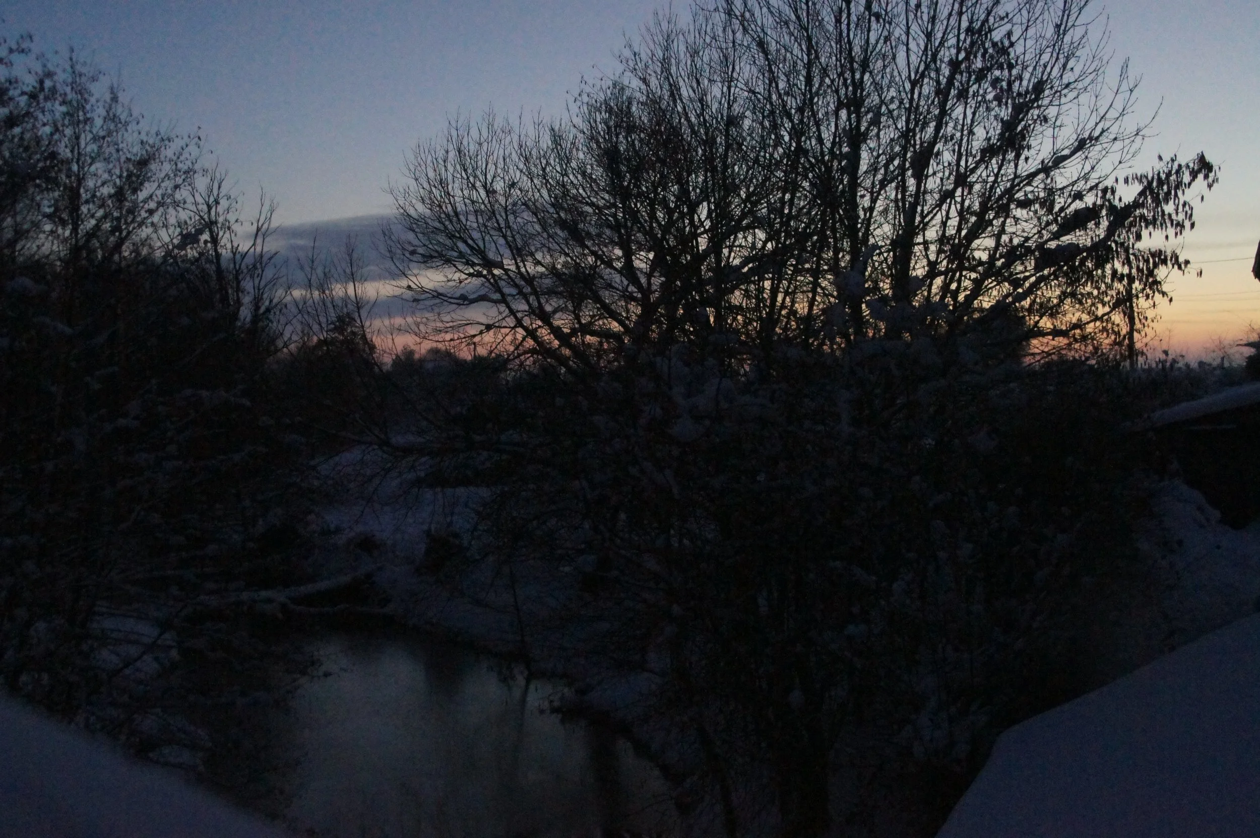 DSC04728.jpg