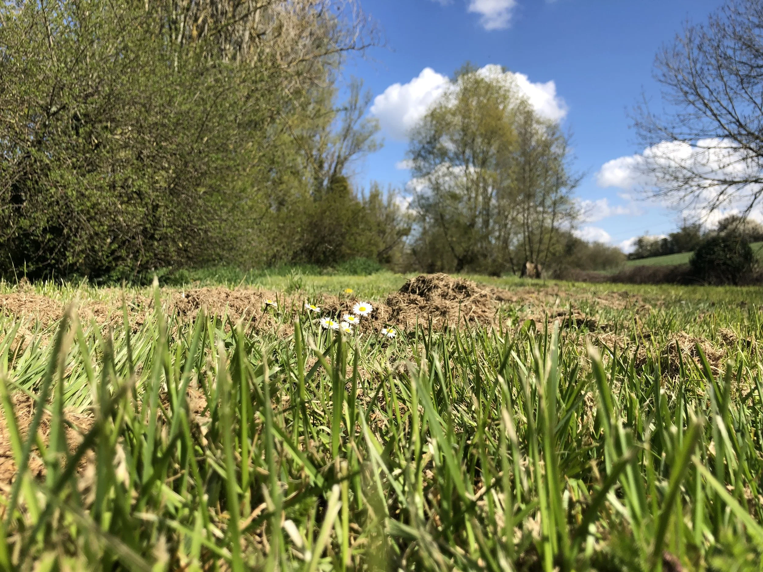 IMG_4002.jpeg