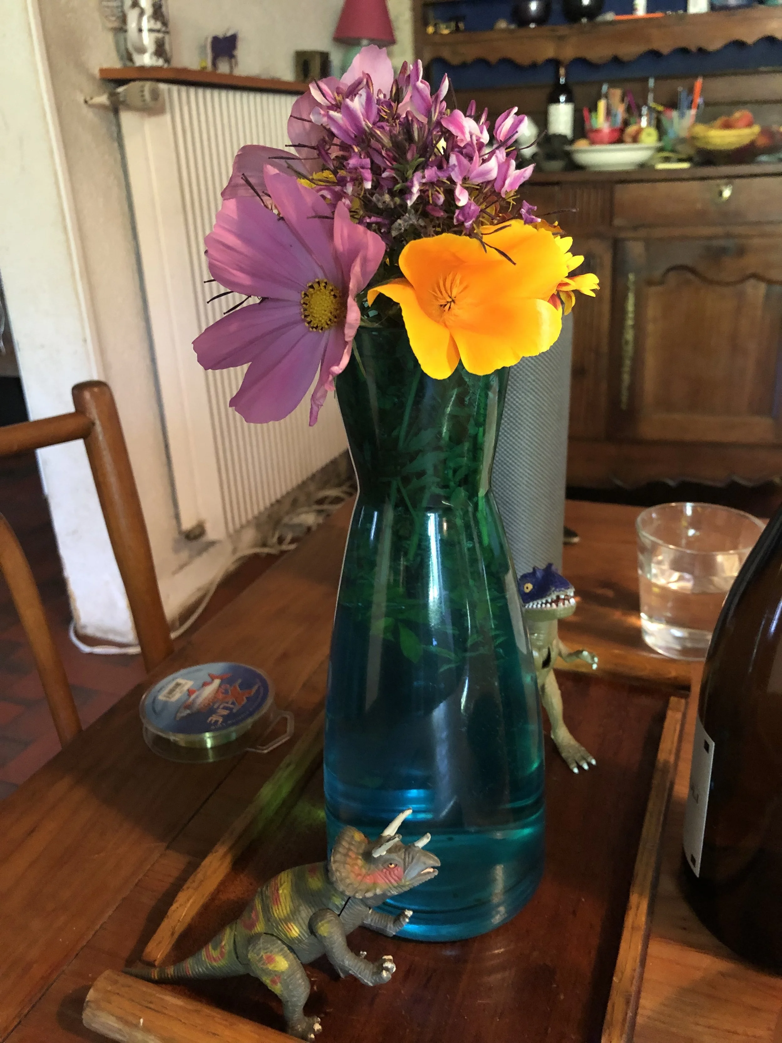 IMG_8293.jpeg