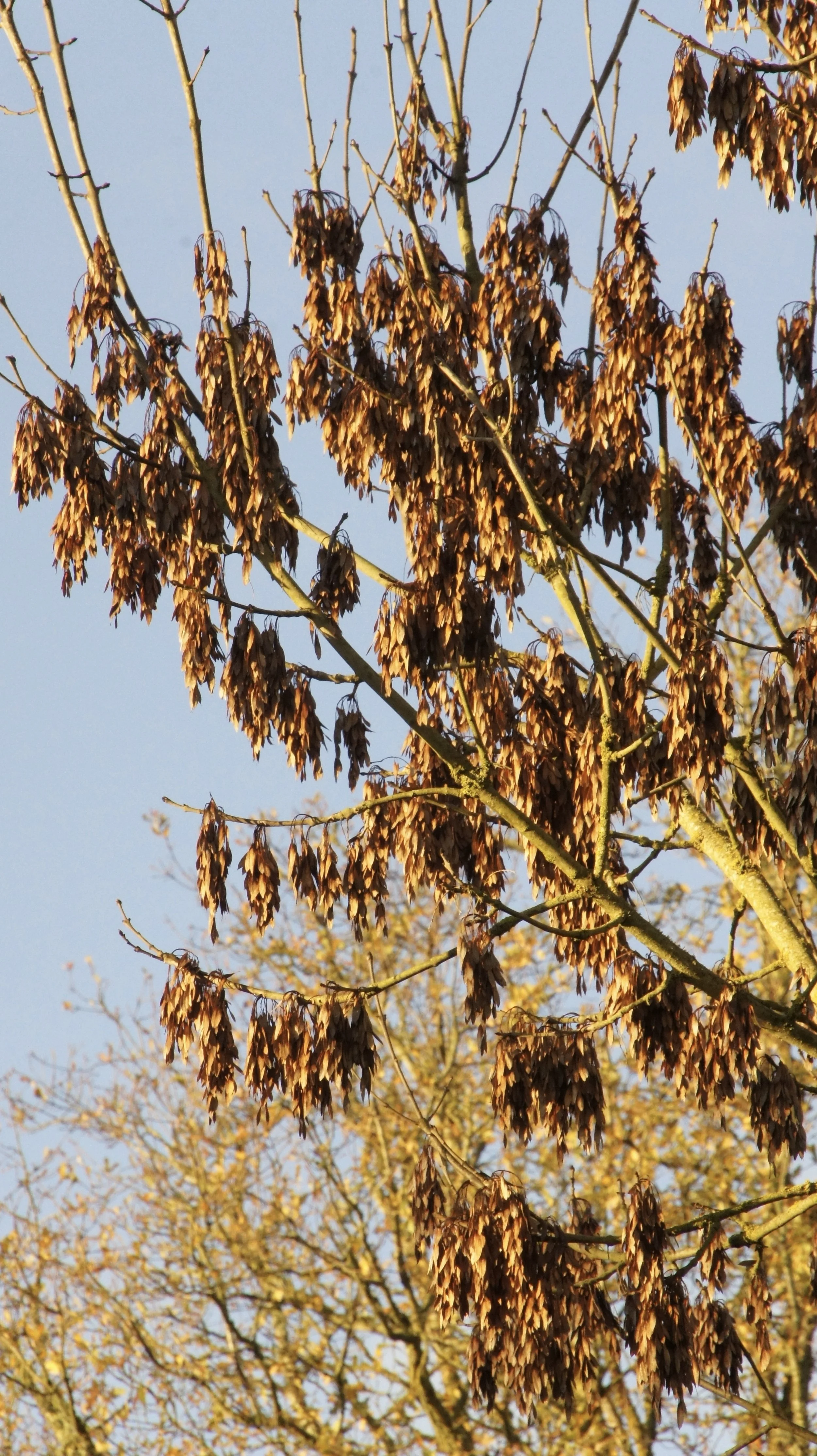 DSC00876.JPG