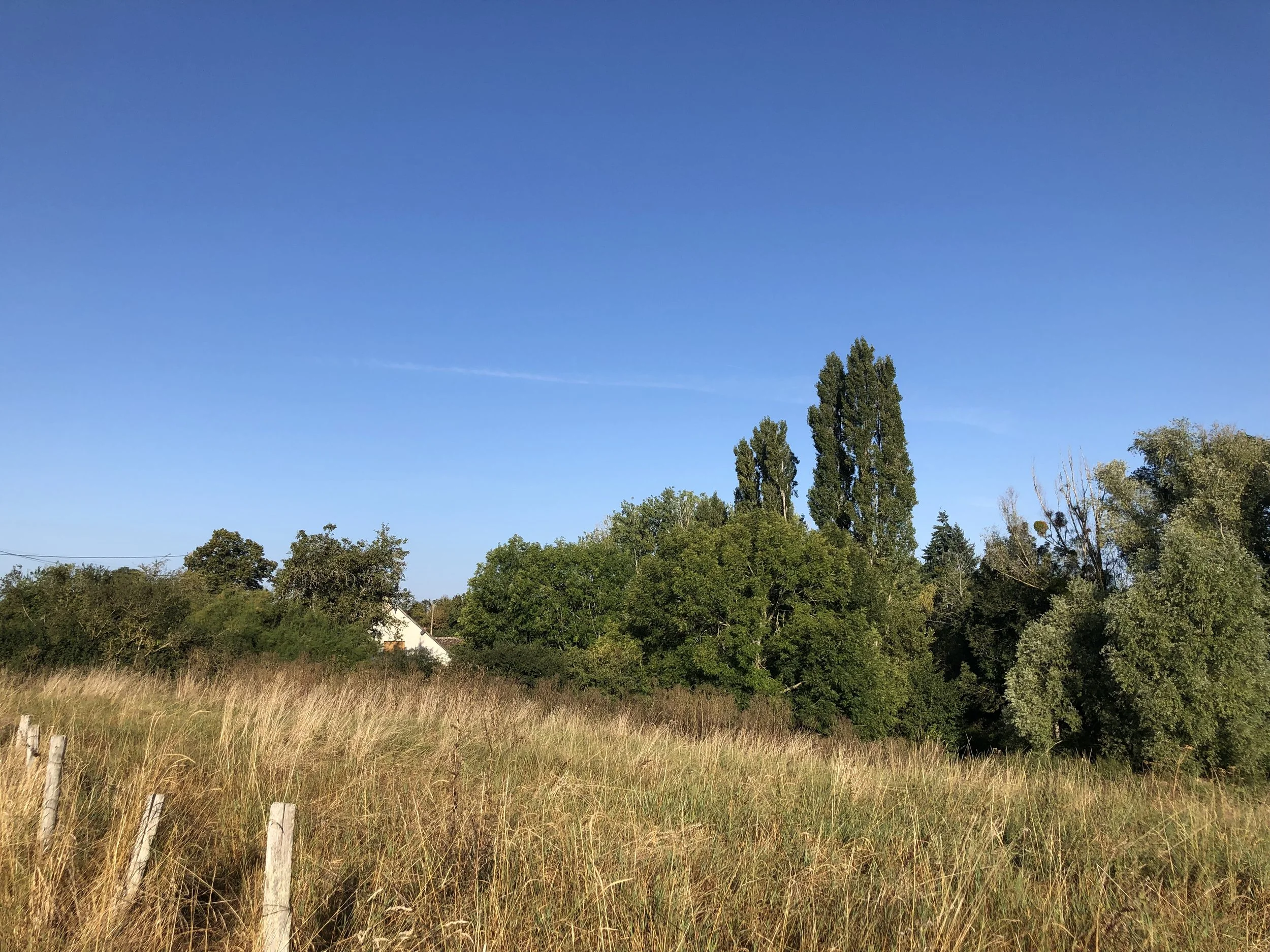 IMG_8742 (1).jpeg