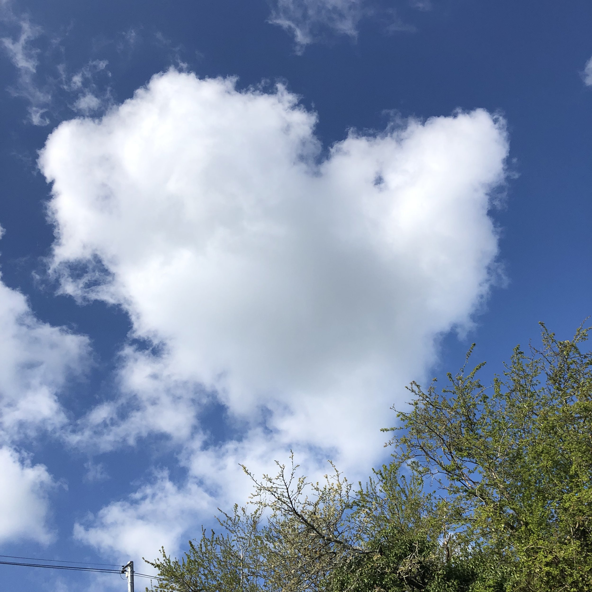 IMG_3845.jpeg