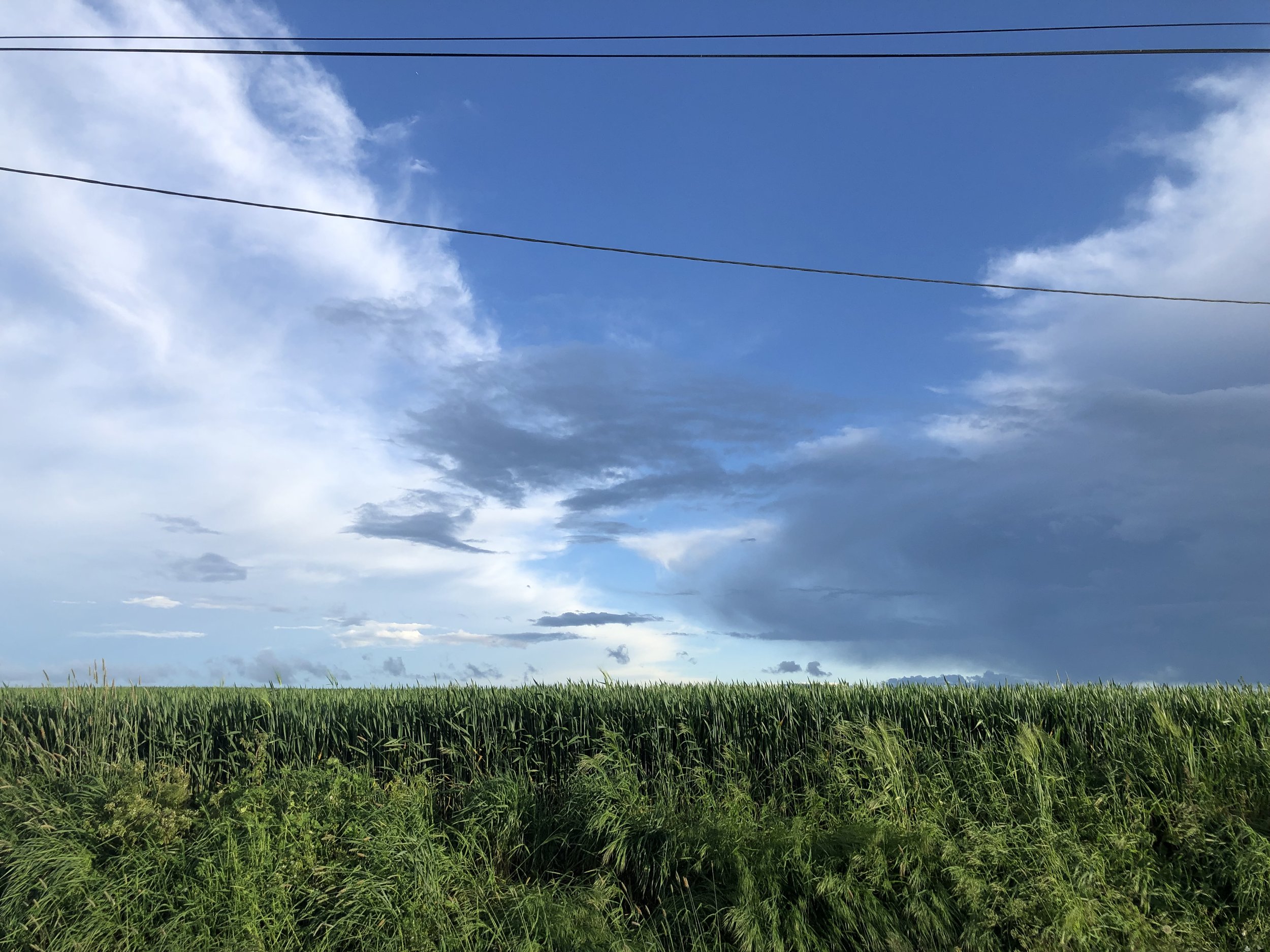 IMG_4668.jpeg