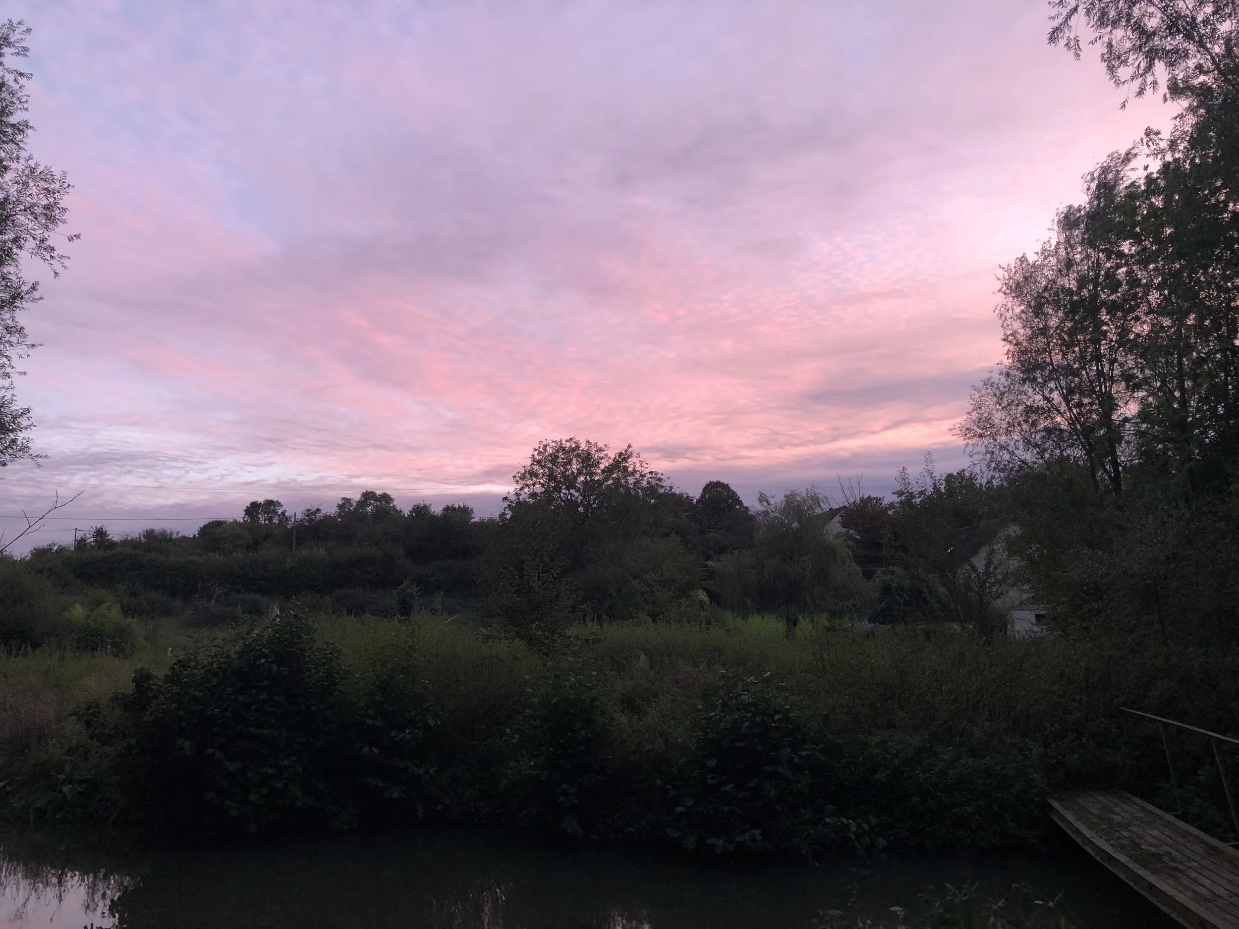 IMG_5848.jpeg