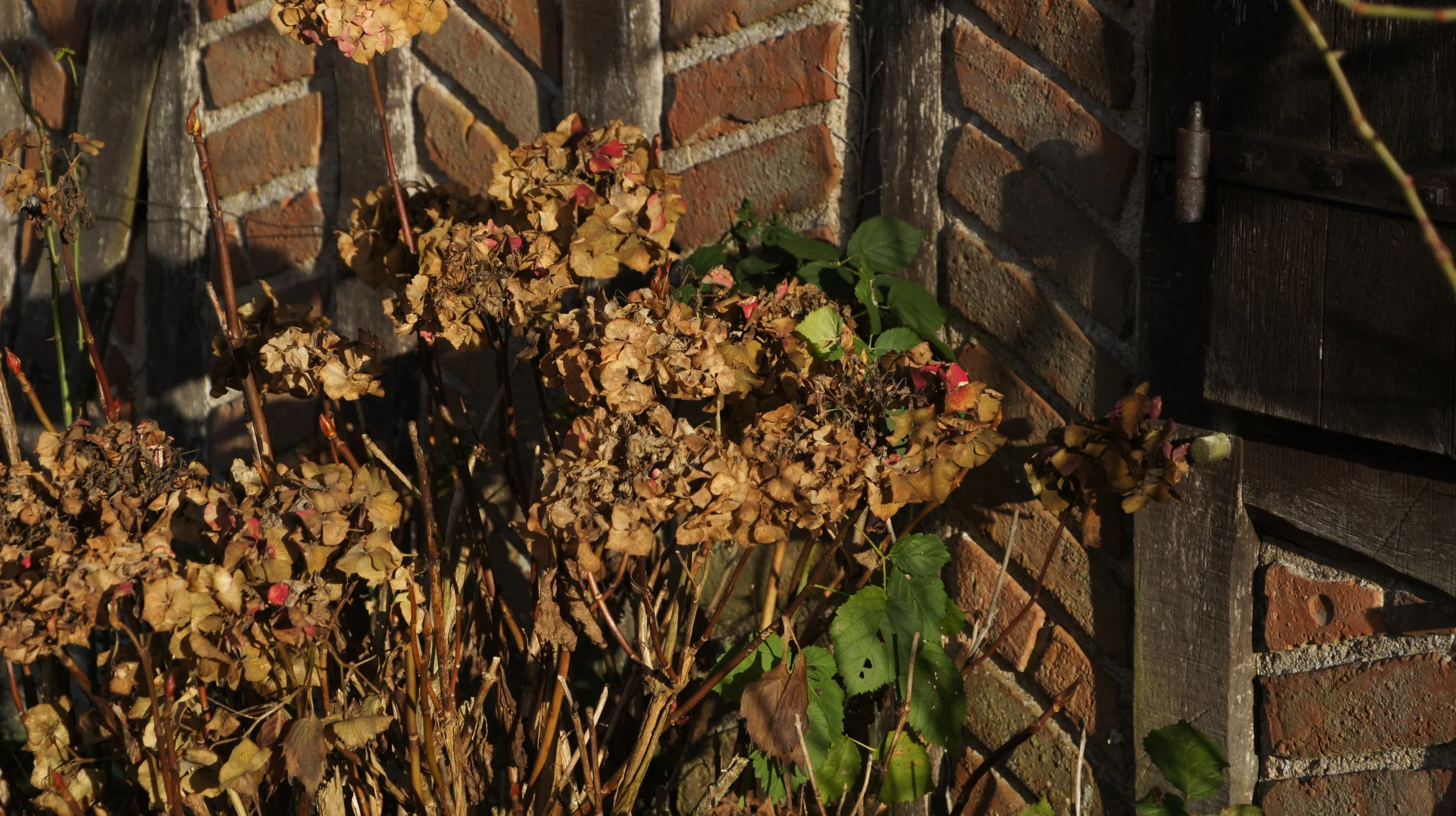 DSC04927.JPG