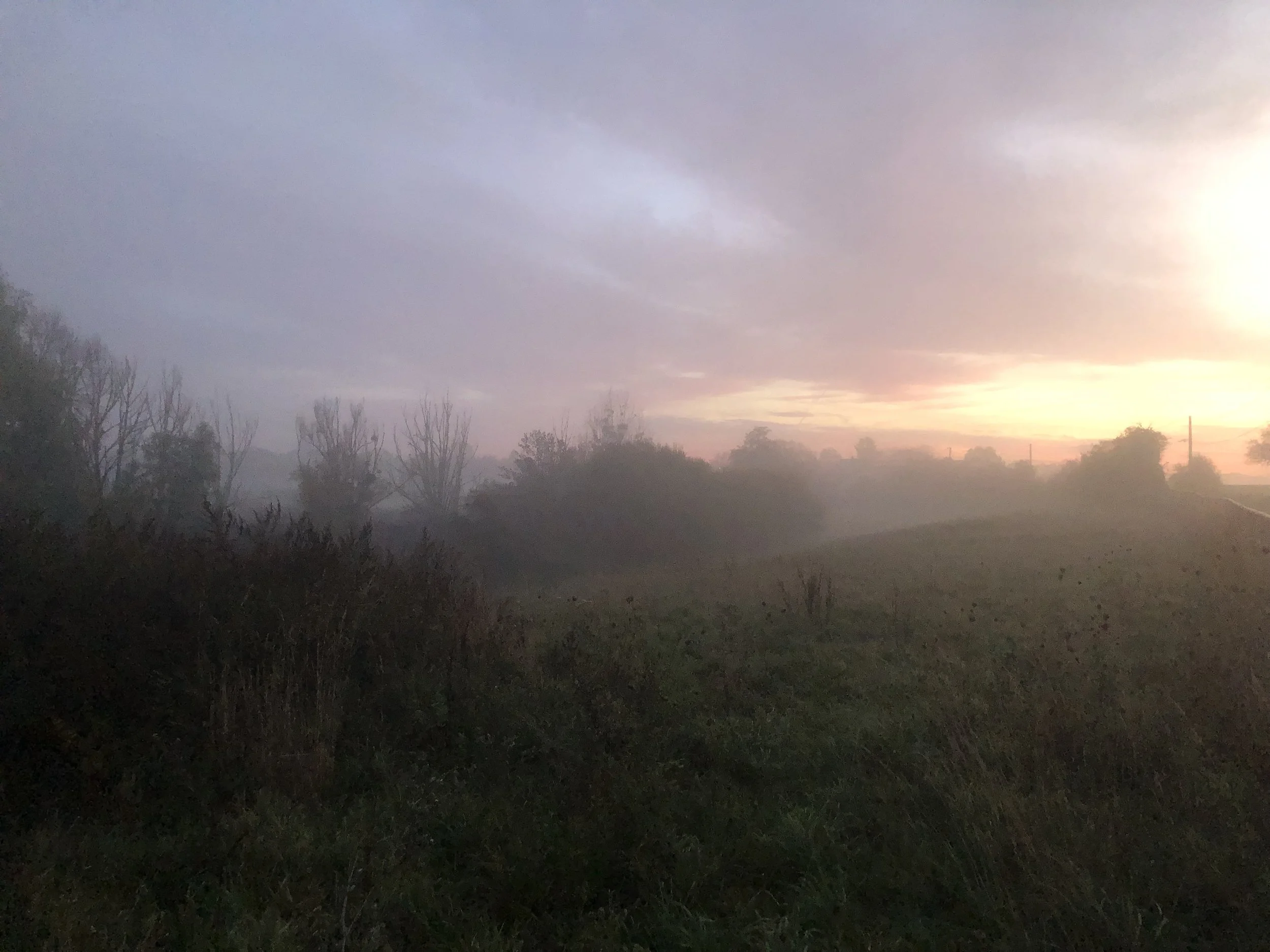 IMG_5240.jpeg