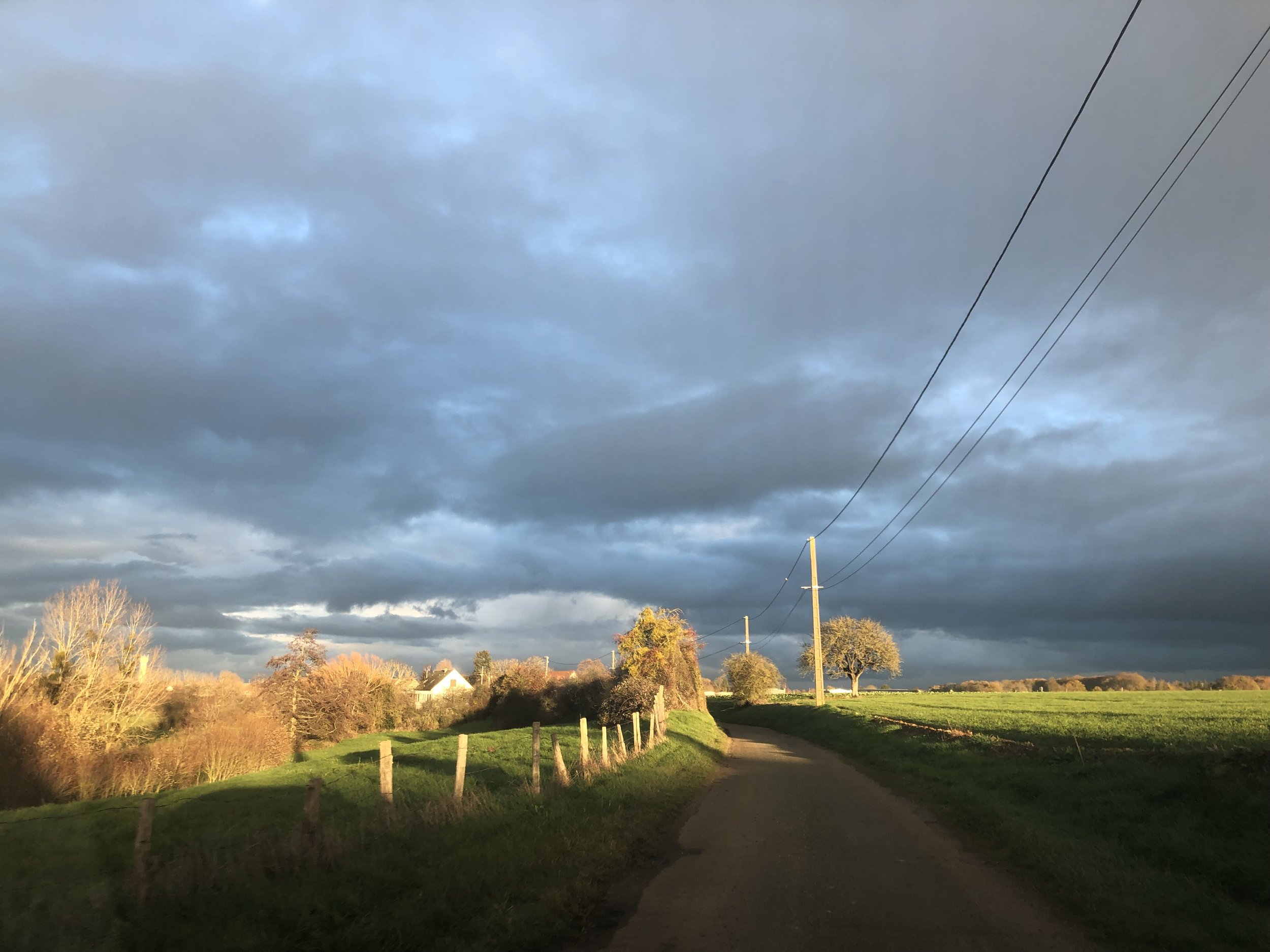 IMG_0721.jpeg