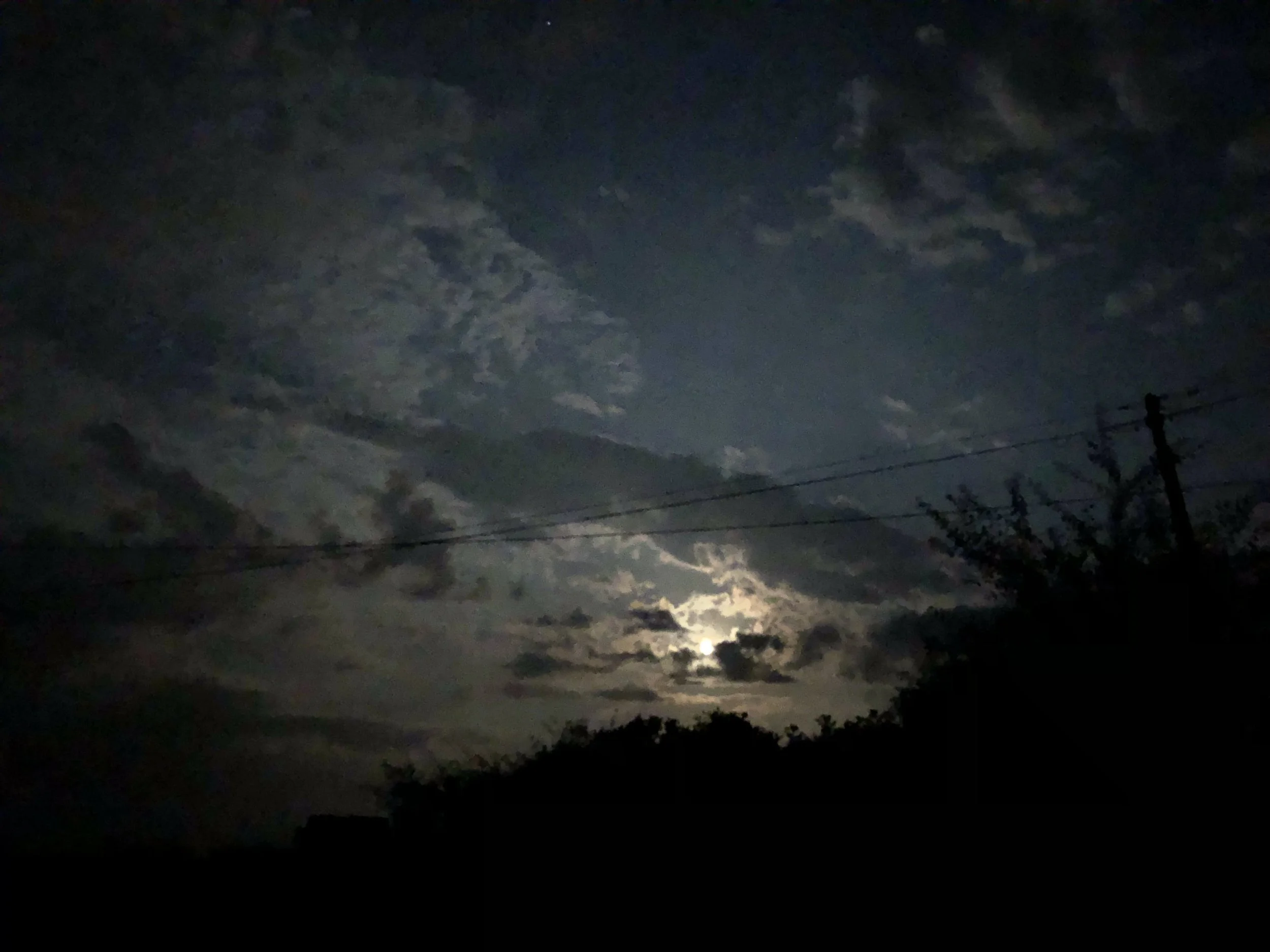 IMG_6563.jpeg