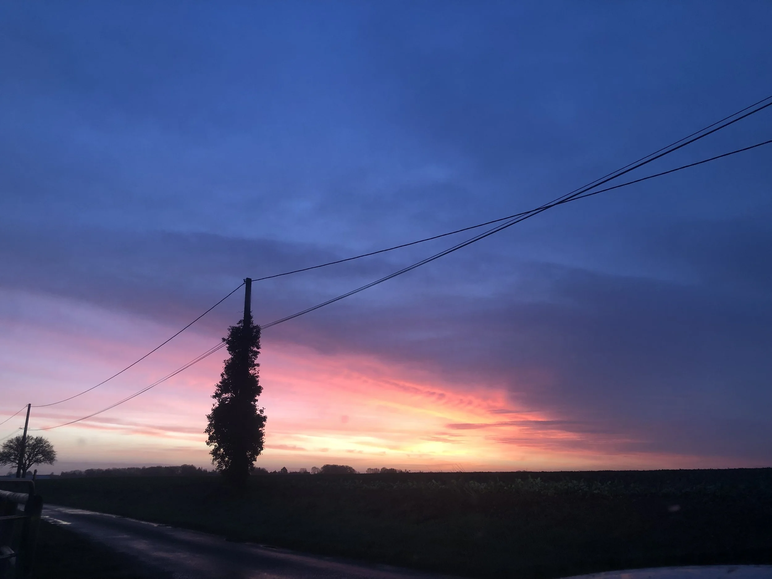 IMG_8239.jpeg