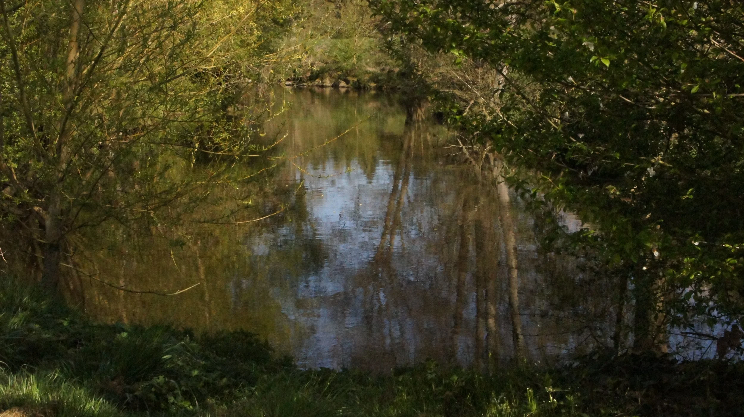 DSC09747.JPG