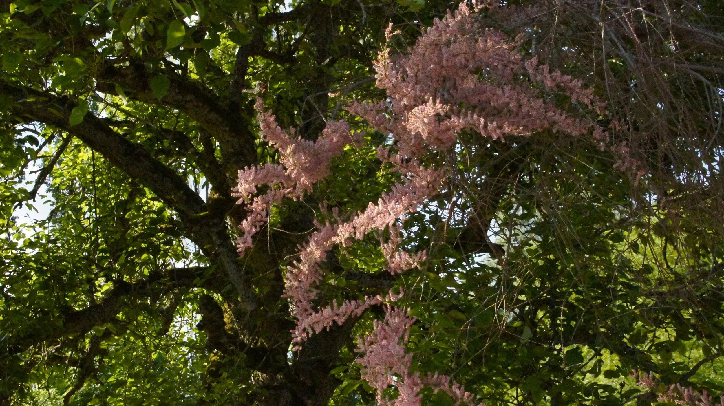 DSC06684.JPG