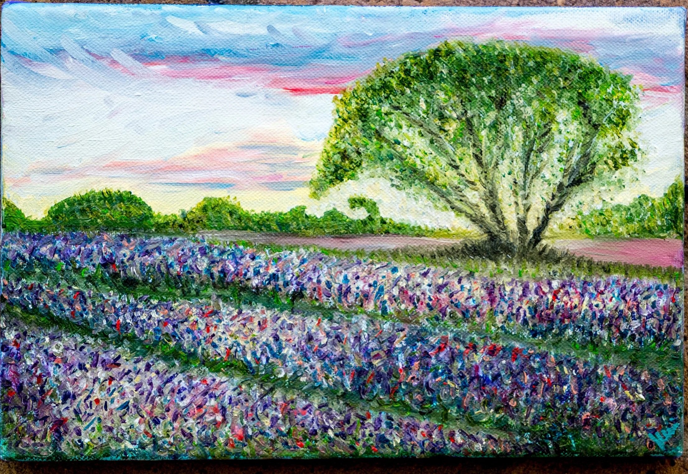 Levander Fields Oil on canvas 30 x 20 cm 