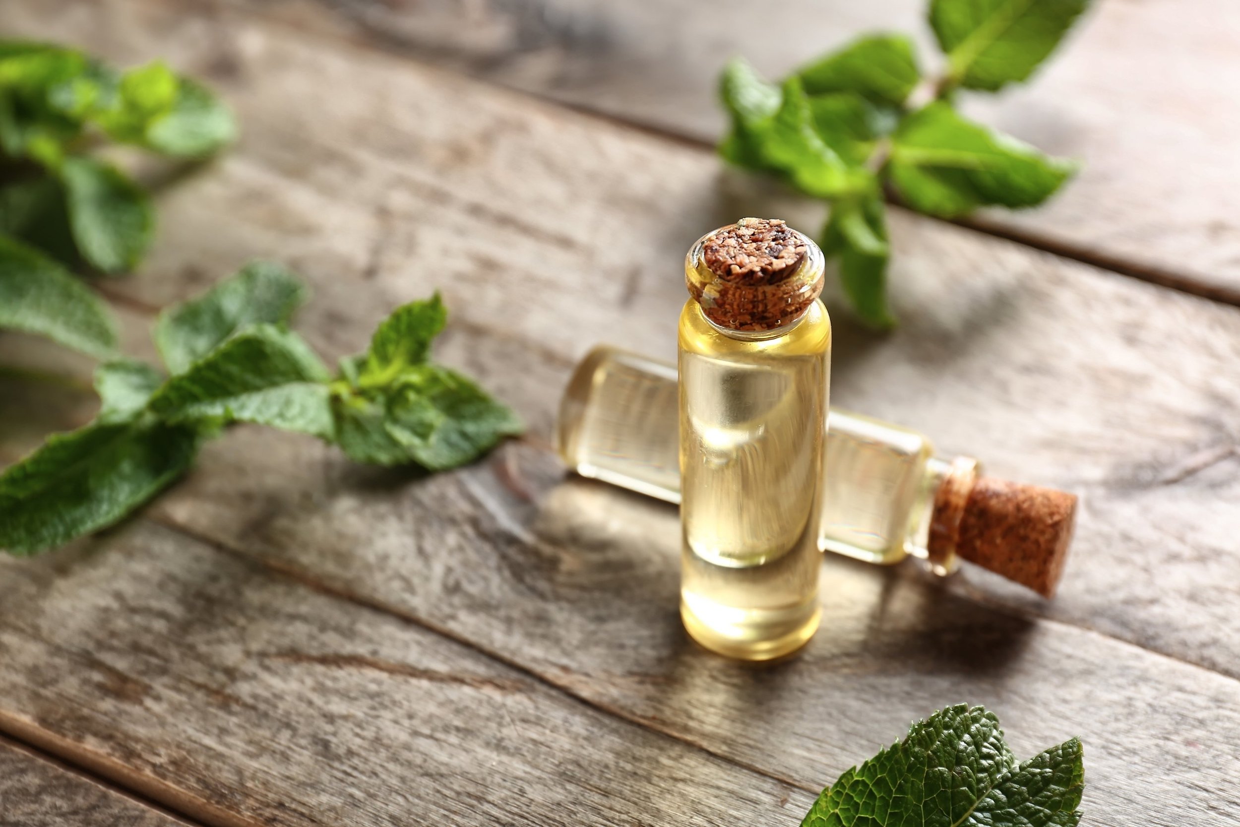 Olio essenziale di menta