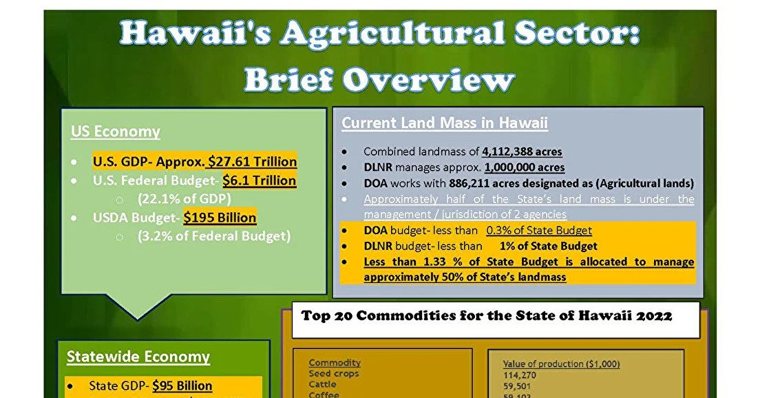January 2024 Newsmaker: Big Island Drought
