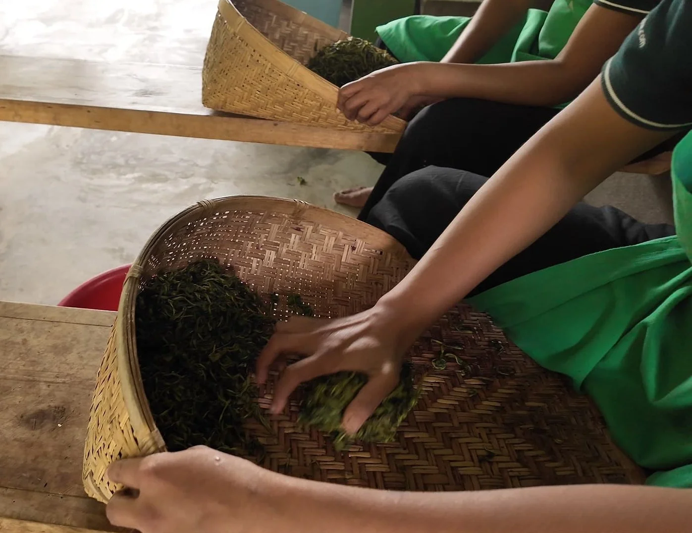 AMBA employees rolling organic tea leaves by hand in woven baskets at a wooden table for their artisanal tea.