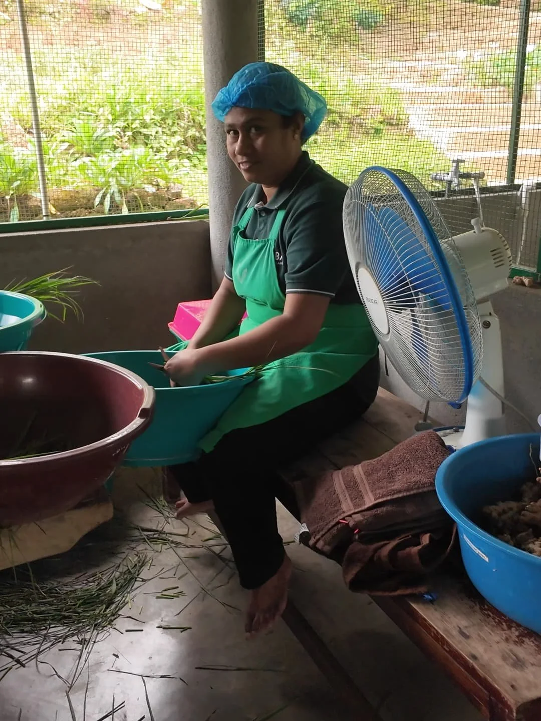 amba employee cutting lemon grass  at the tea factory of amba estate in sri lanka