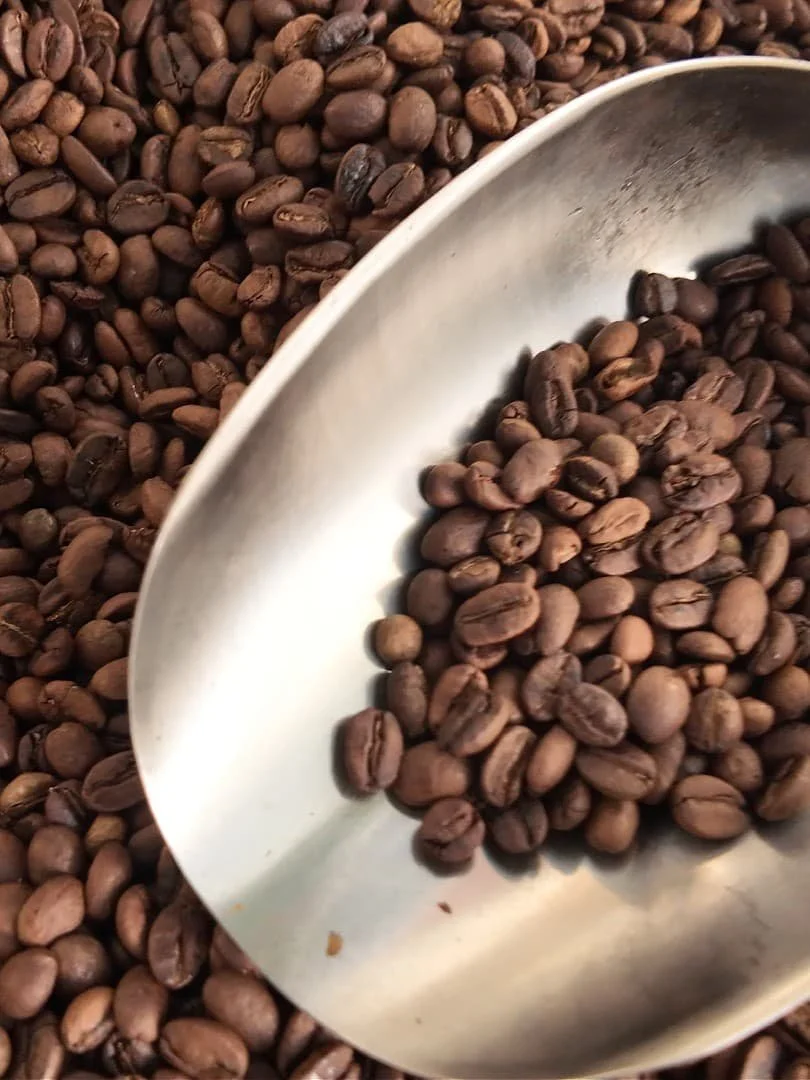 light roast arabica coffee beans with a steel spoon at roseland coffee roasters