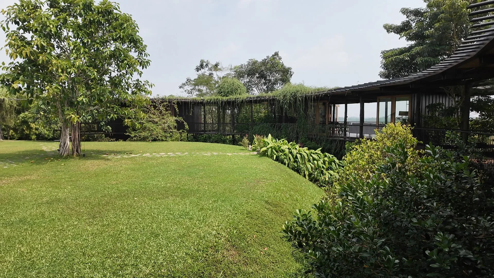 Beautiful lush gras with a big tree in the middle of Trebartha East Round house wooden architecture