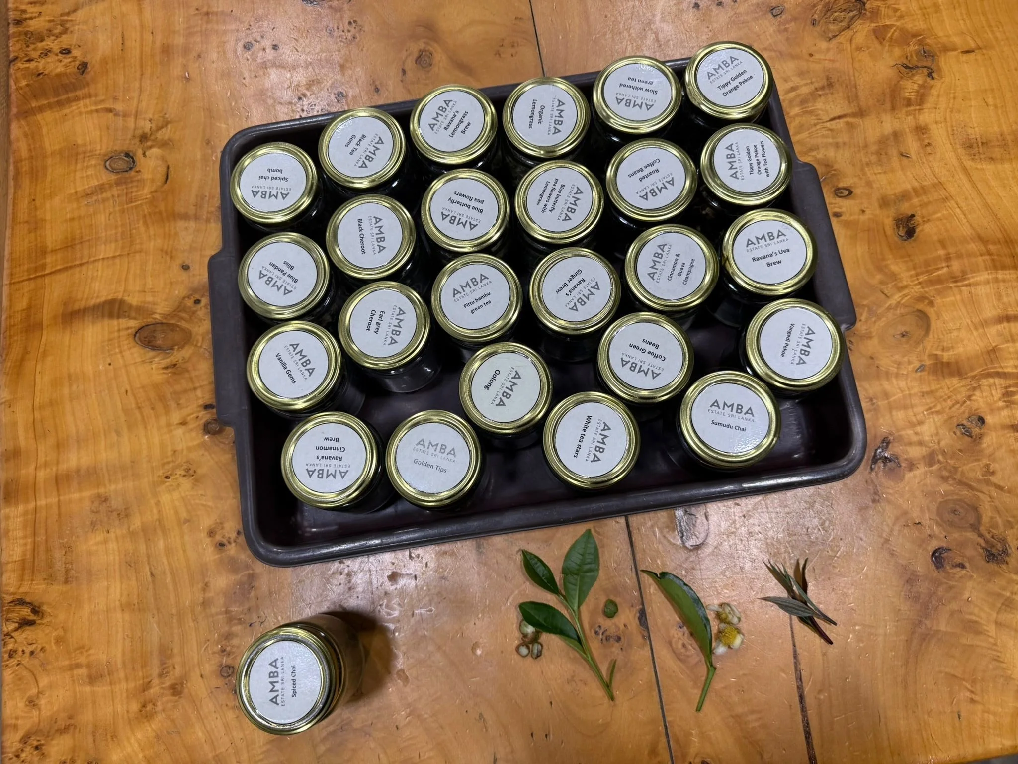 30 tea jars and coffees of the organic farm of amba estate in sri lanka