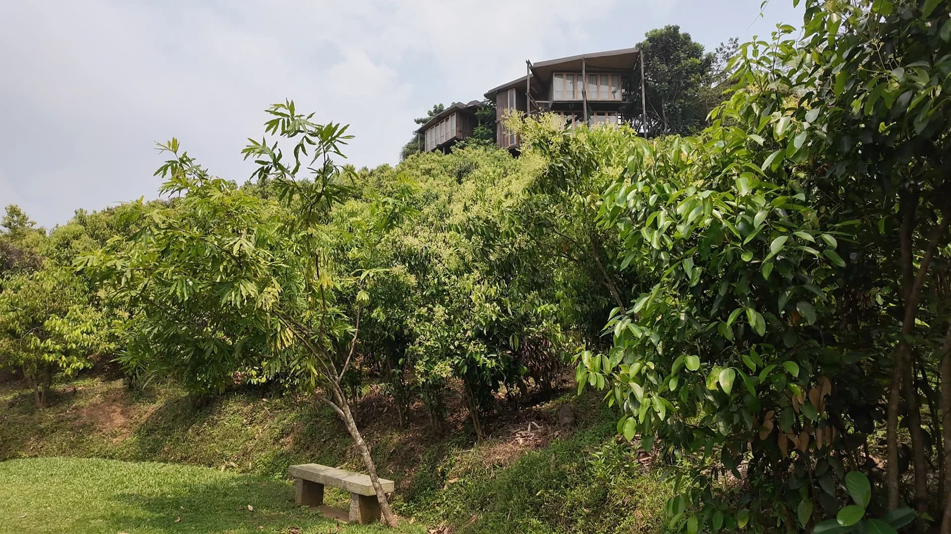 A garden path surrounded by cinnamon plants and in the backdrop the beautiful Round House of Trebartha East