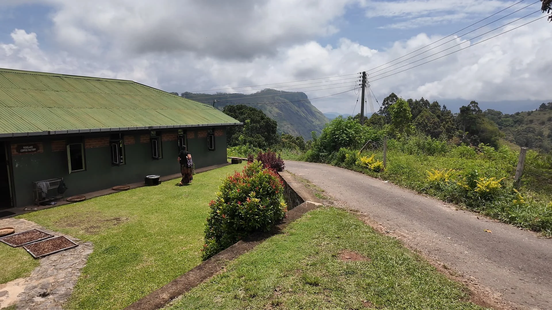 Roseland coffee factory in hill country sri lanka overlooking ella rock on a beautiful day