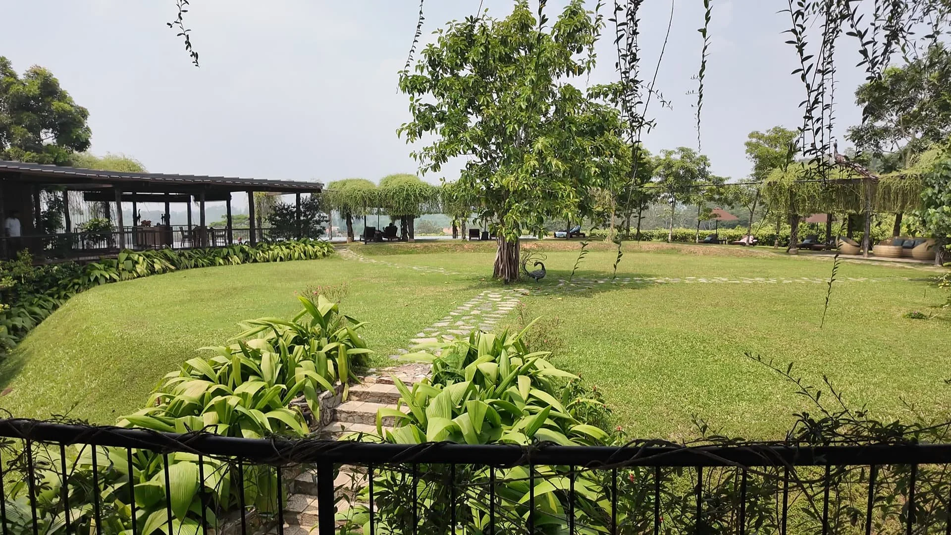 trebartha east centre of their round accomodation with gras and a huge tree in the middle