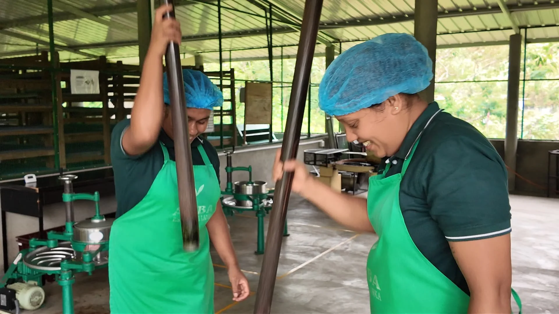 Two employees pounding tea in a vangedi (mortar), to make Vangedi ‘illegal’ tea at amba estate, an organic farm and social enterprise in the hill country of sri lanka